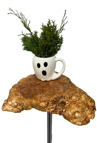 Unique Side Table- Small End Table- Plant Stand- Tree Slice- Maple Burl- Natural Wood- Industrial- Mid Century-Tripod- Live Edge Table