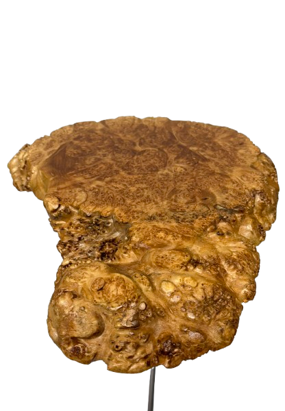 Unique Side Table- Small End Table- Plant Stand- Tree Slice- Maple Burl- Natural Wood- Industrial- Mid Century-Tripod- Live Edge Table