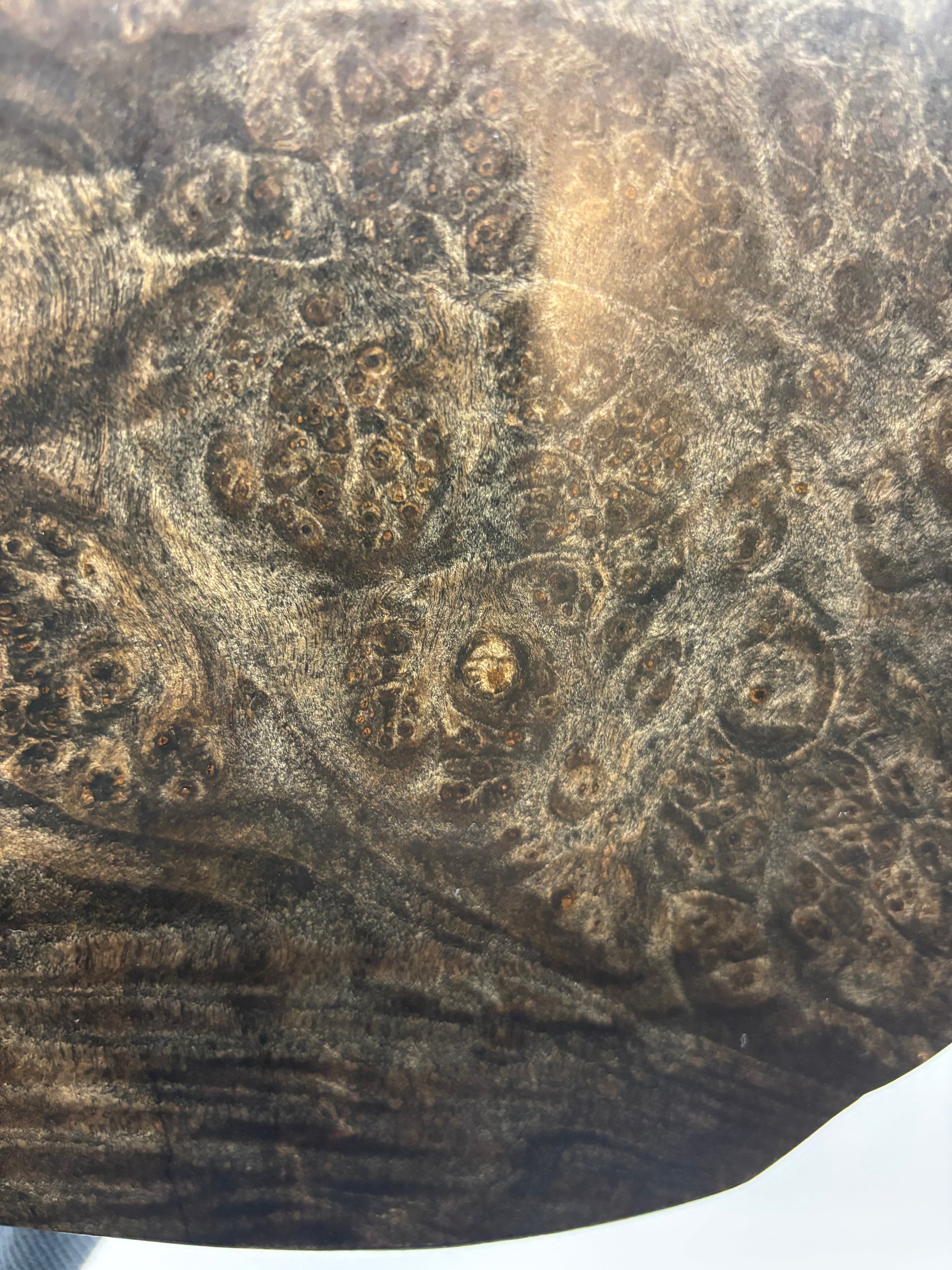 Black Side Table- Maple Burl- Small End Table- Plant Stand- Tree Slice- Natural Wood- Industrial- Mid Century- Gray- Ebonized- Gold- Home