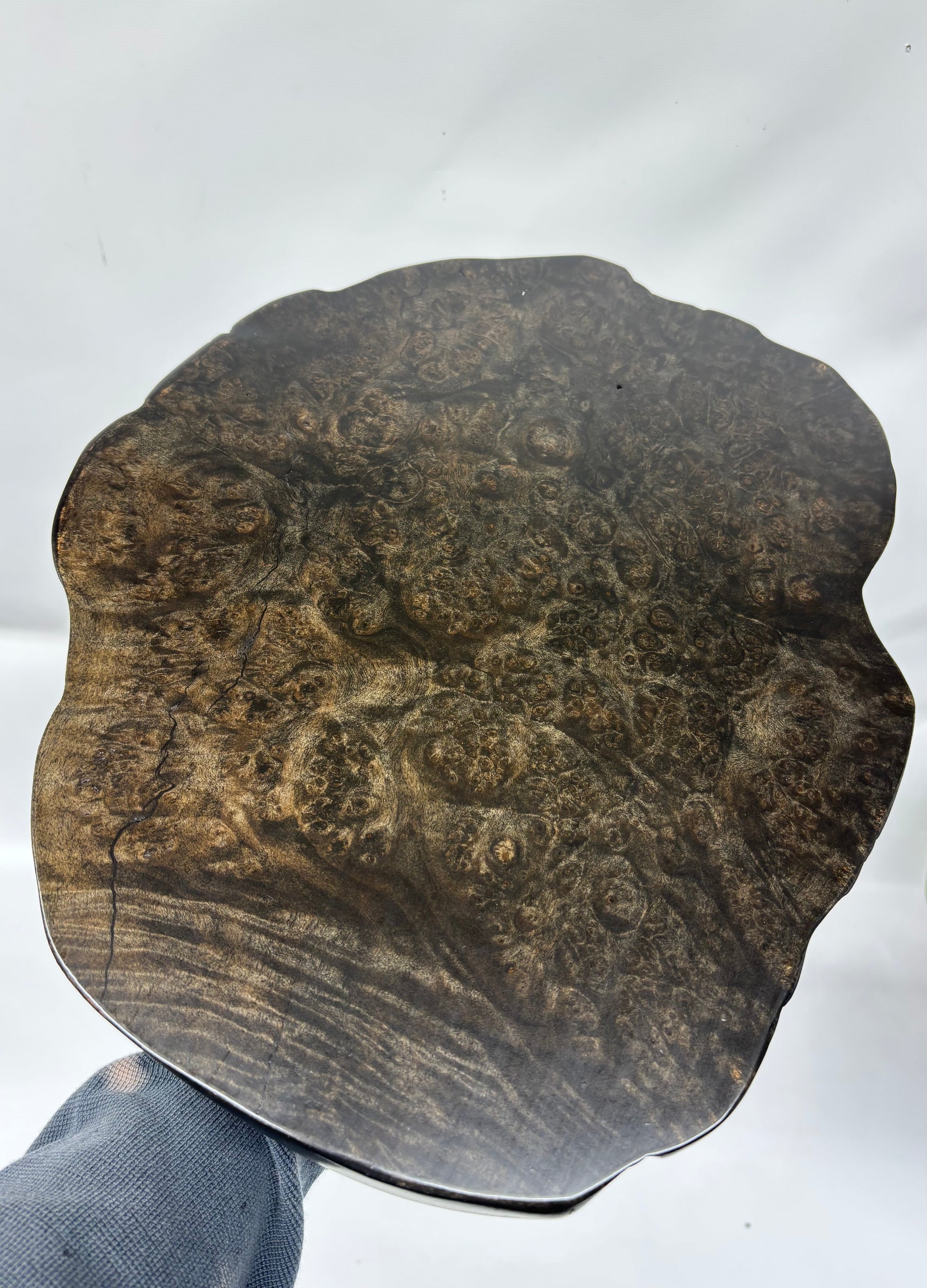 Black Side Table- Maple Burl- Small End Table- Plant Stand- Tree Slice- Natural Wood- Industrial- Mid Century- Gray- Ebonized- Gold- Home