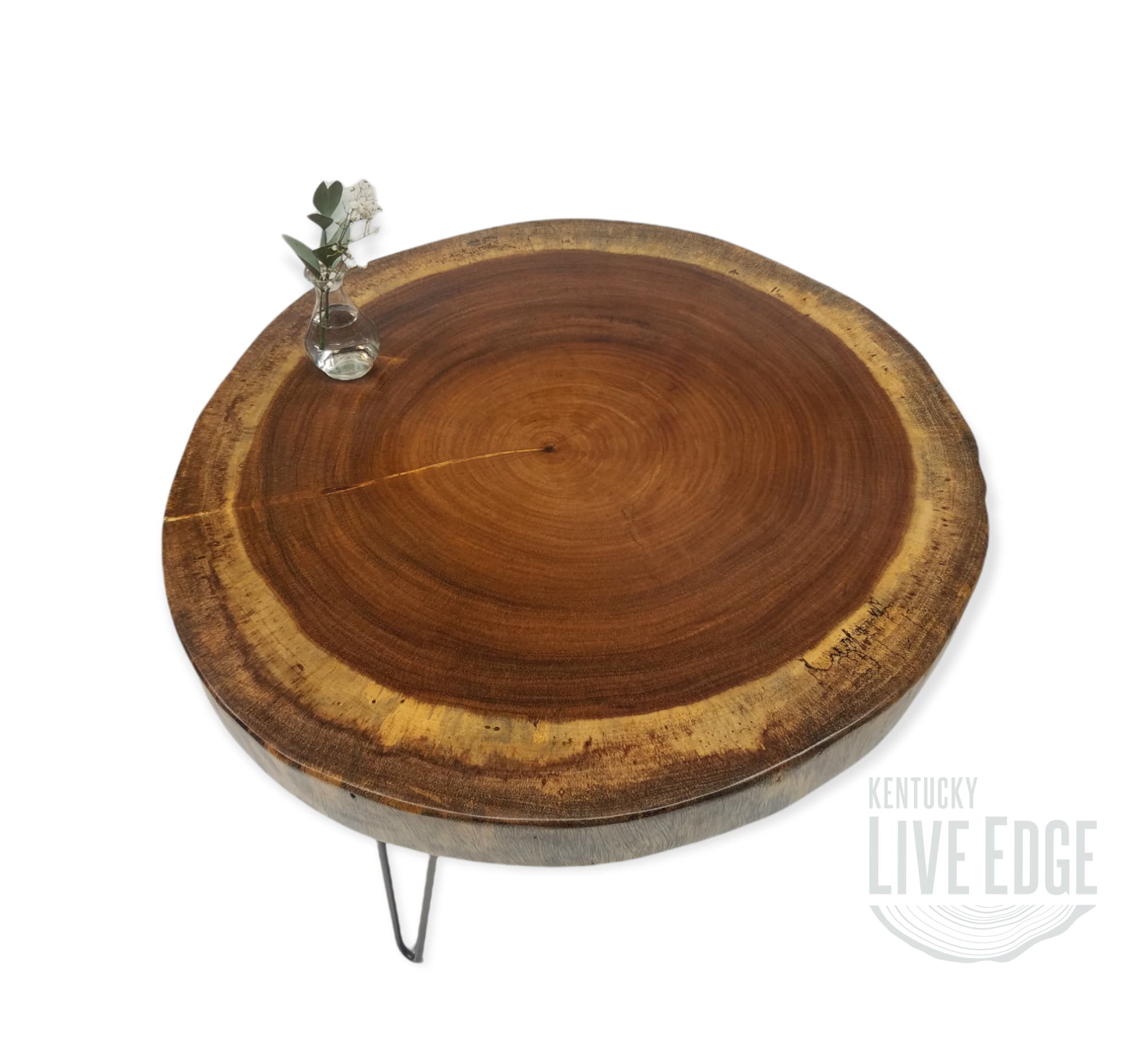 Round Coffee Table- Live Edge Table- Circular- Dark Wood- Large Coffee Table- Monkeypod Slab- Tree Slice- Modern- Thick Wood- Nature- Unique