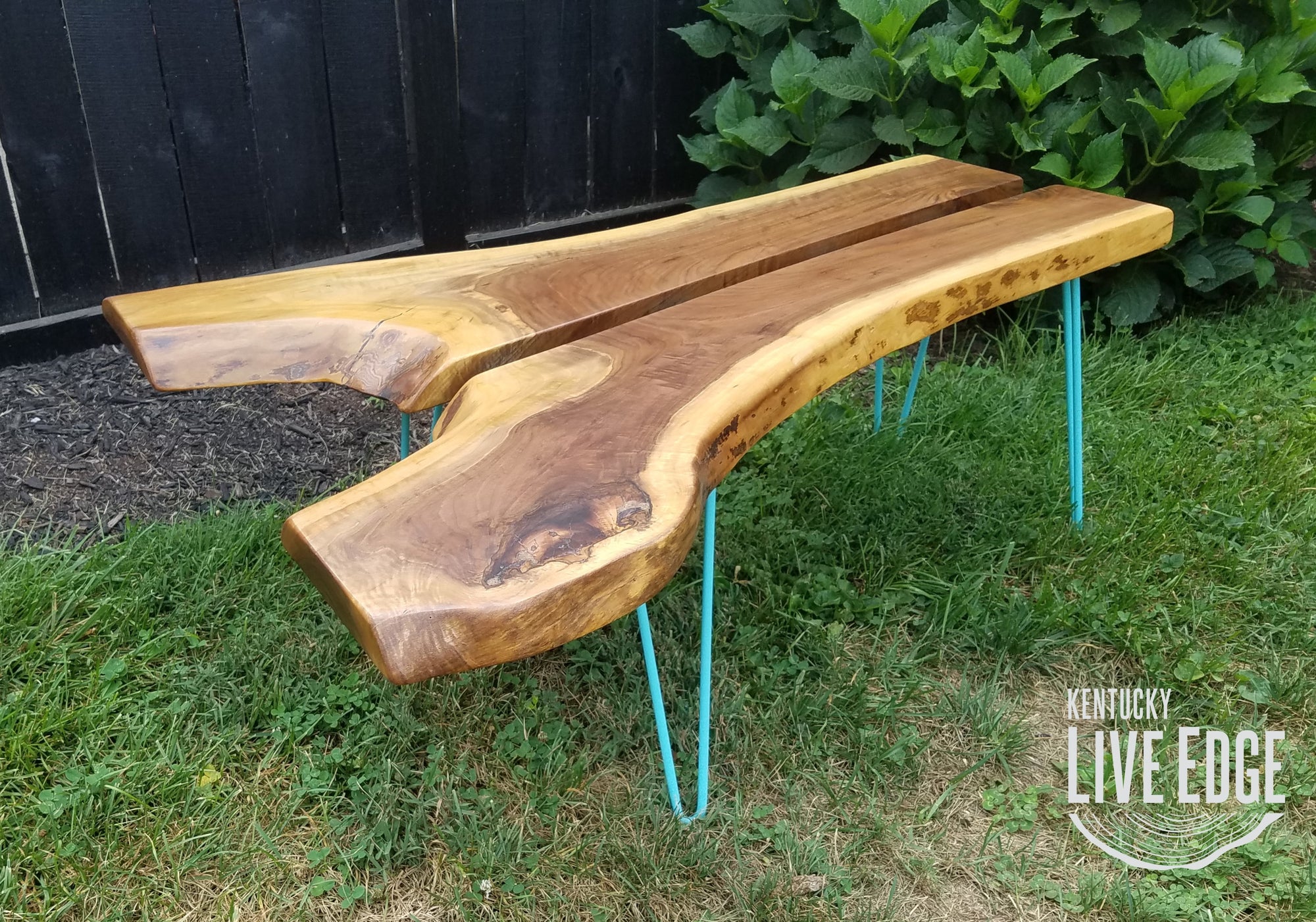 Teal Coffee Table- Live Edge- Turquoise- Mid Century- Organic- Modern- Rustic- Reclaimed- Furniture- Handmade- Living Room- Unique- Large
