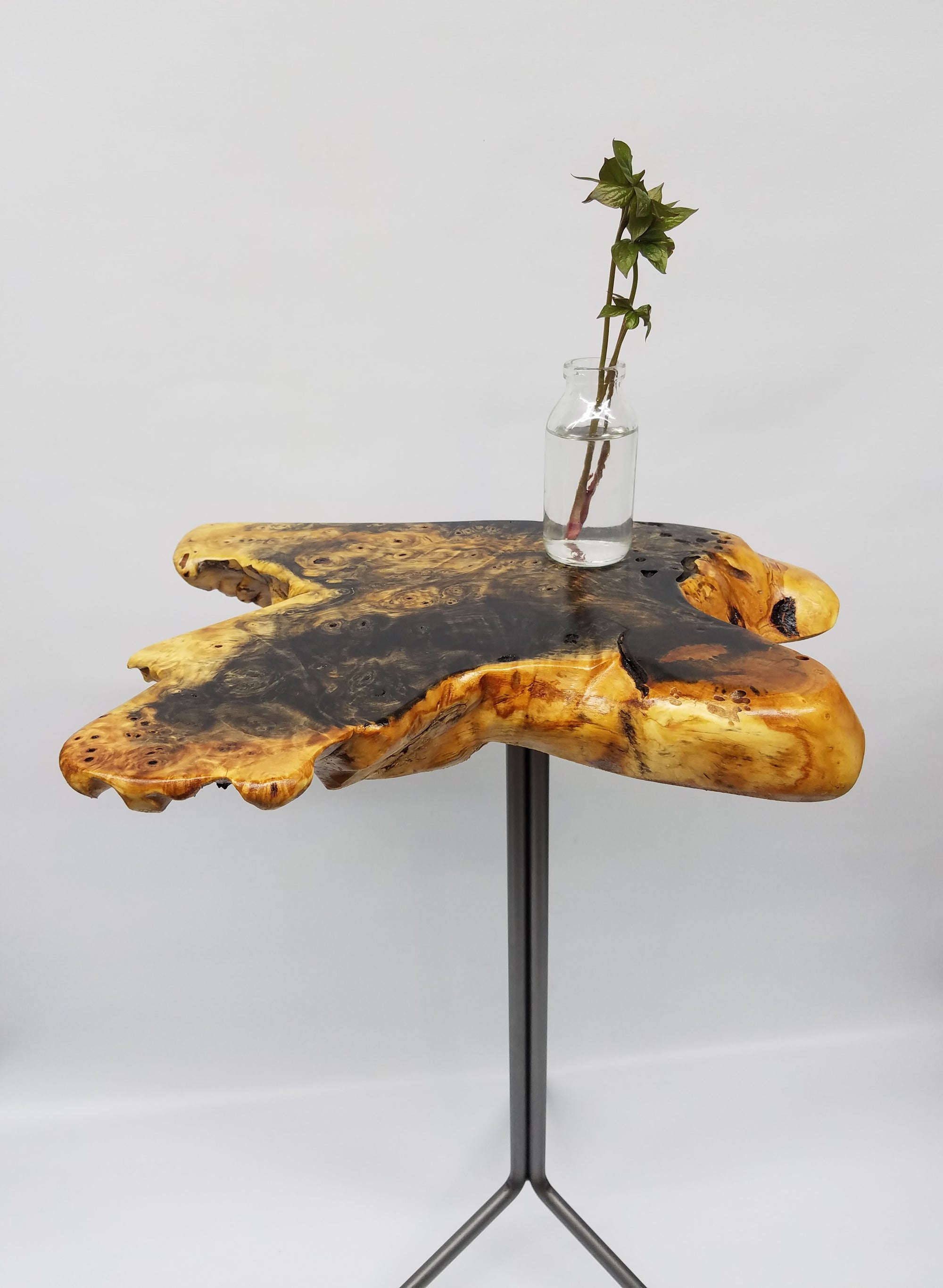 Buckeye Burl Side Table- End Table- Plant Stand- Tree Slice- Live Edge- Natural Wood- Industrial- Mid Century- Steel- Slab Table- Artistic