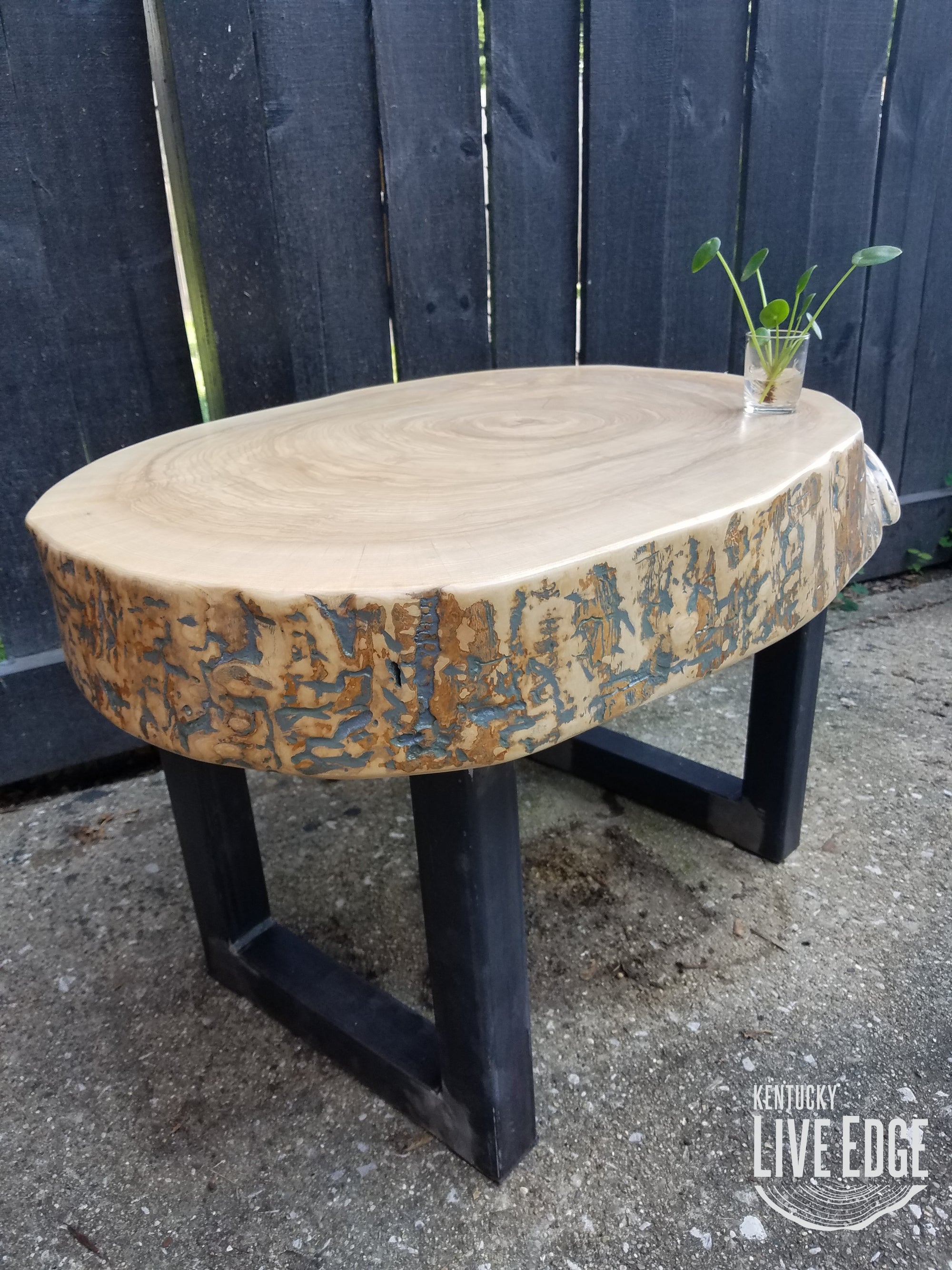 Large Coffee Table- Live Edge- Oval- Round- Thick- Tree Slice- Modern- Mid Century- Cool Furniture- Living Room- Industrial- Light Wood