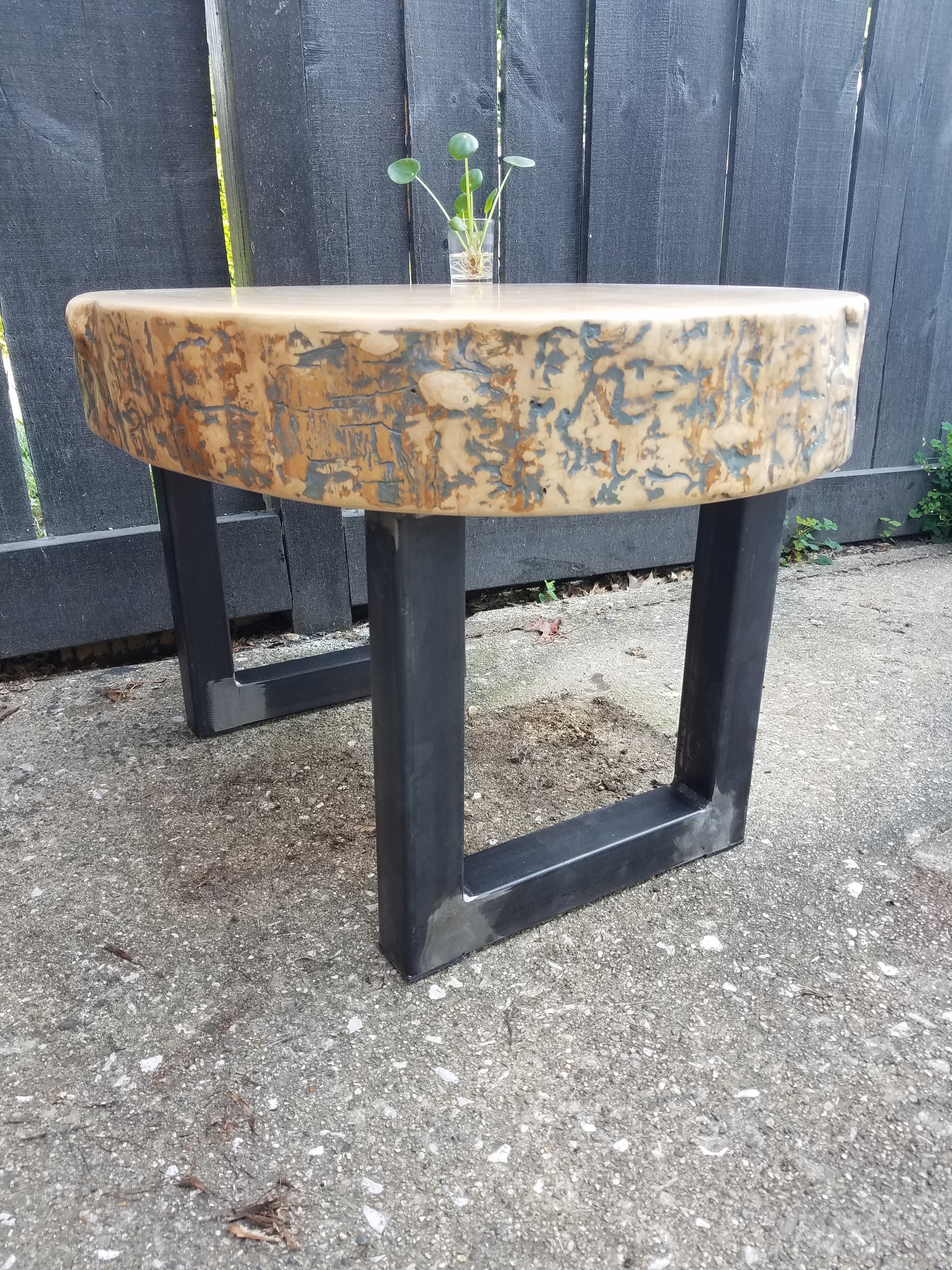 Large Coffee Table- Live Edge- Oval- Round- Thick- Tree Slice- Modern- Mid Century- Cool Furniture- Living Room- Industrial- Light Wood