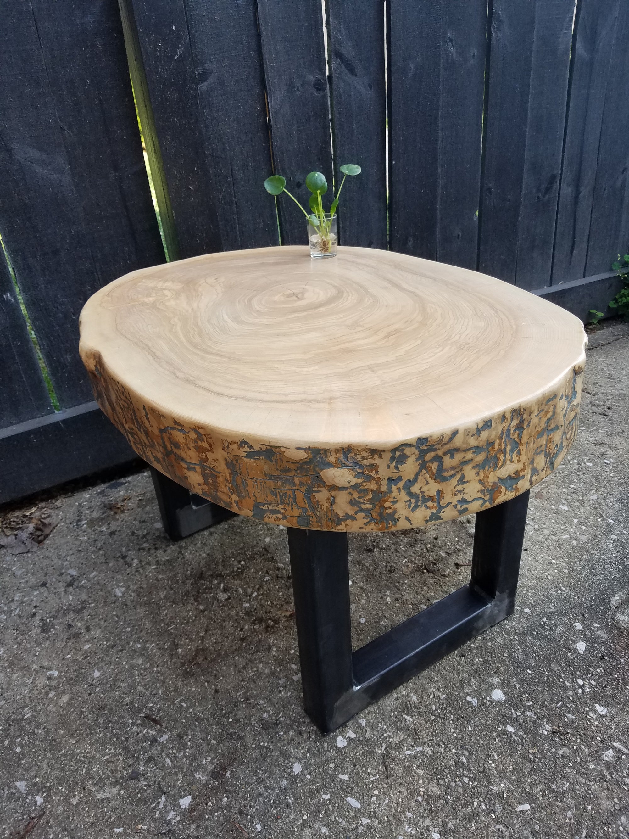 Large Coffee Table- Live Edge- Oval- Round- Thick- Tree Slice- Modern- Mid Century- Cool Furniture- Living Room- Industrial- Light Wood