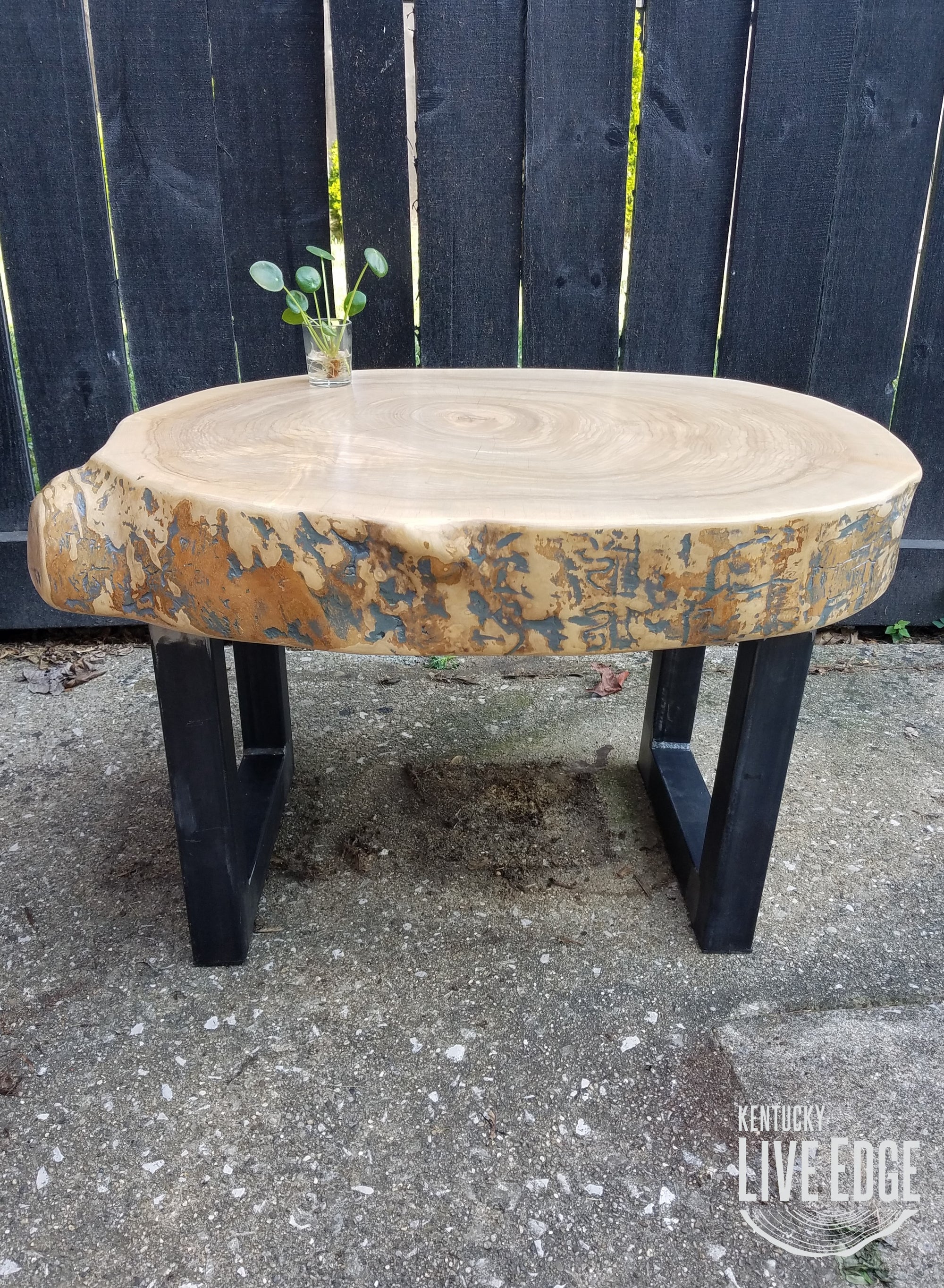 Large Coffee Table- Live Edge- Oval- Round- Thick- Tree Slice- Modern- Mid Century- Cool Furniture- Living Room- Industrial- Light Wood