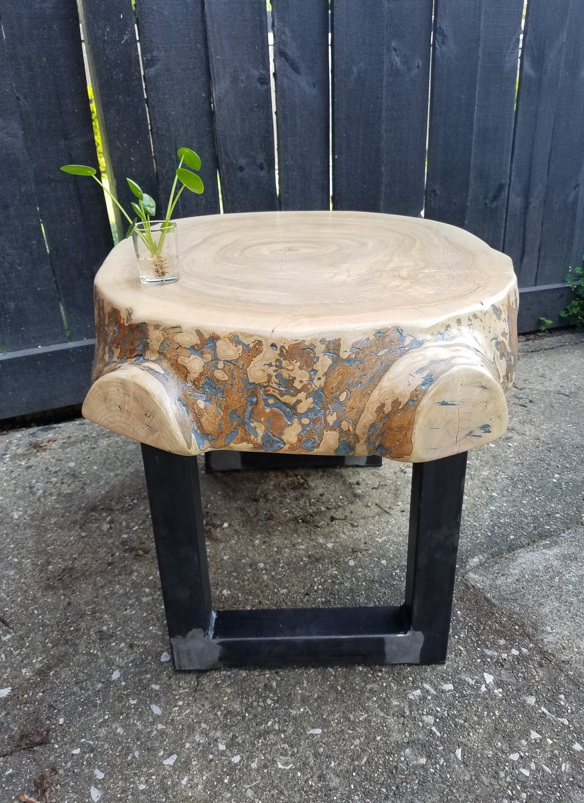 Large Coffee Table- Live Edge- Oval- Round- Thick- Tree Slice- Modern- Mid Century- Cool Furniture- Living Room- Industrial- Light Wood