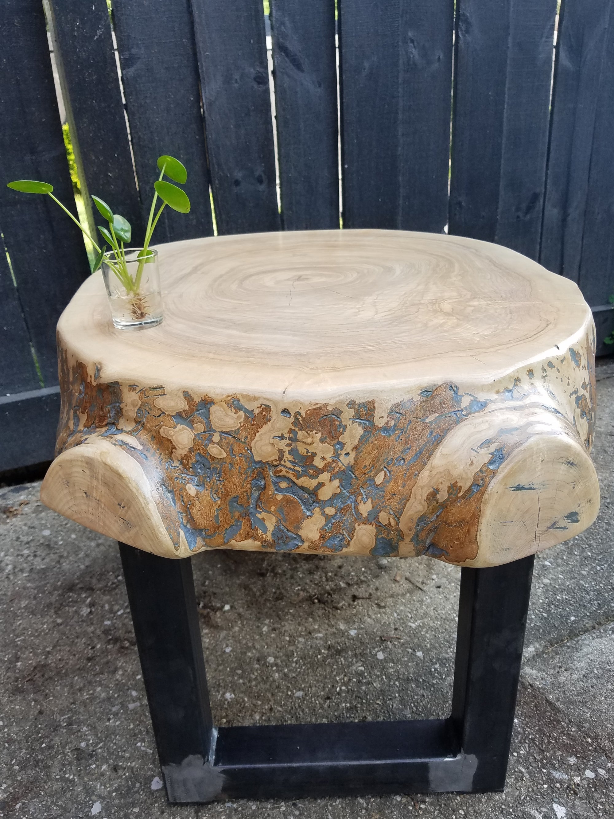 Large Coffee Table- Live Edge- Oval- Round- Thick- Tree Slice- Modern- Mid Century- Cool Furniture- Living Room- Industrial- Light Wood