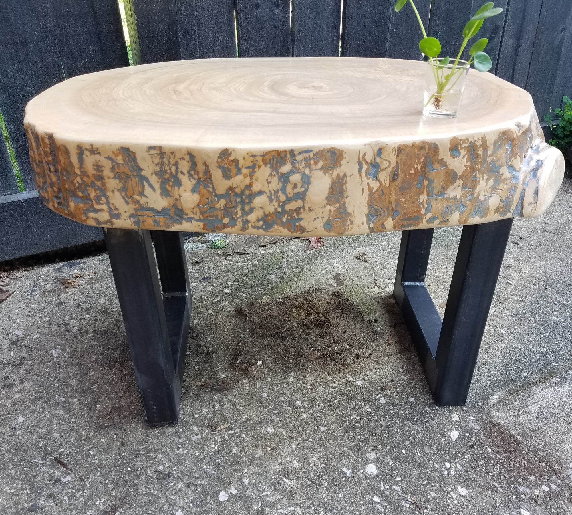 Large Coffee Table- Live Edge- Oval- Round- Thick- Tree Slice- Modern- Mid Century- Cool Furniture- Living Room- Industrial- Light Wood