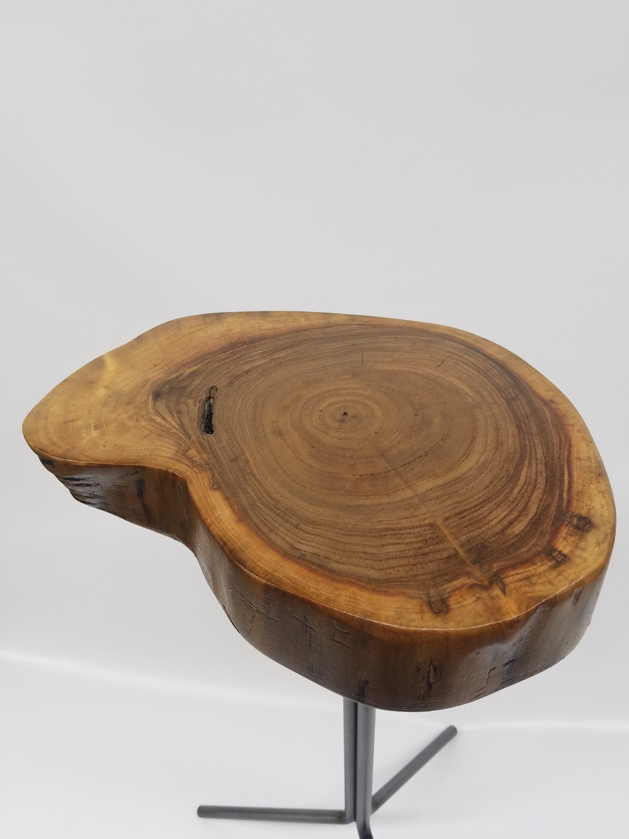 Side Table- End Table- Plant Stand- Live Edge- Steel Base- Black Walnut- Tree Slice- Drink Stand- Modern- Cool- Nature- Living Room- Home