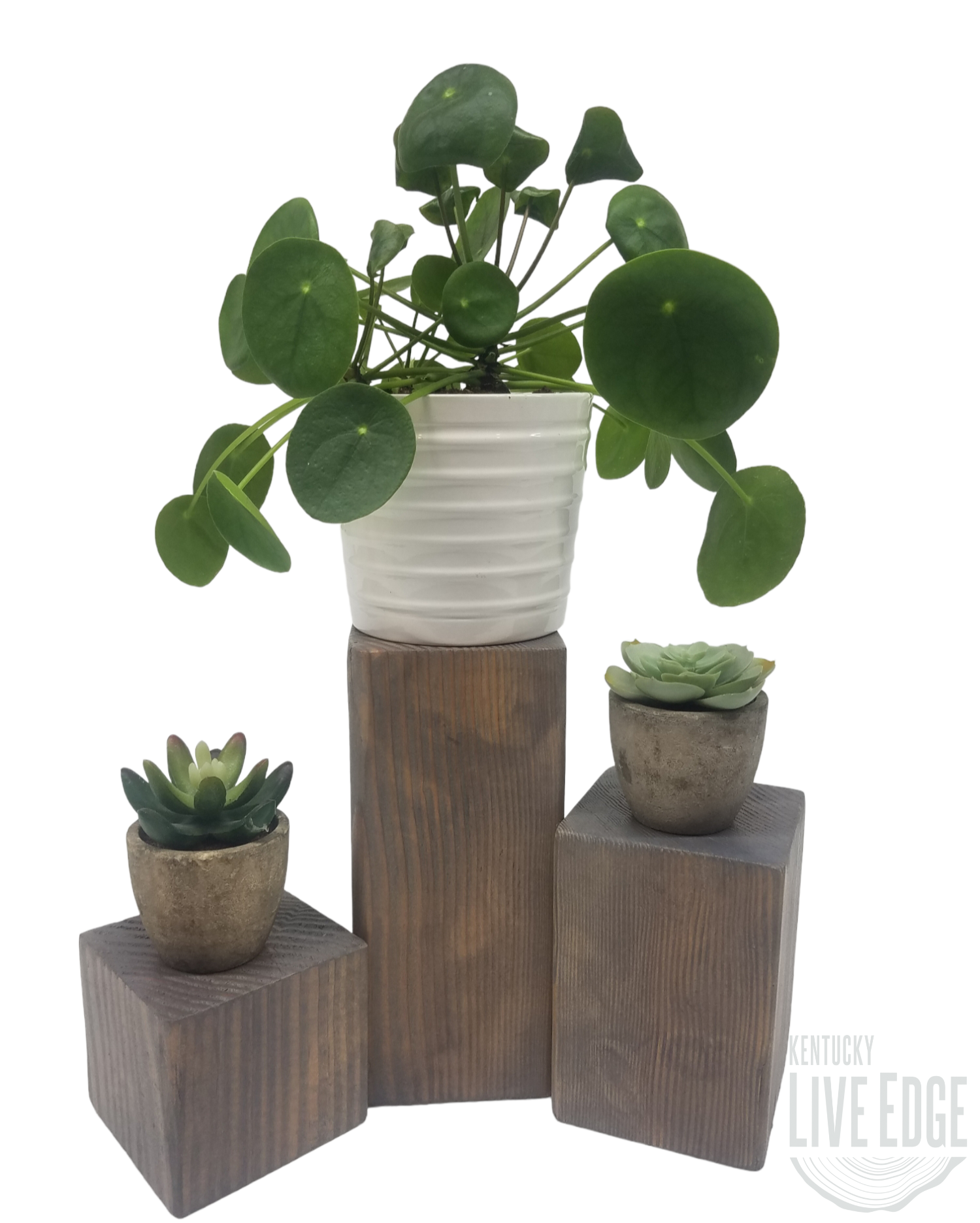 Wood Block Risers- Decor Risers- Black- Walnut- Whitewash- Gray- Plant Risers- Set of 3- Solid Wooden Blocks-Photo Displays- Rustic- Modern