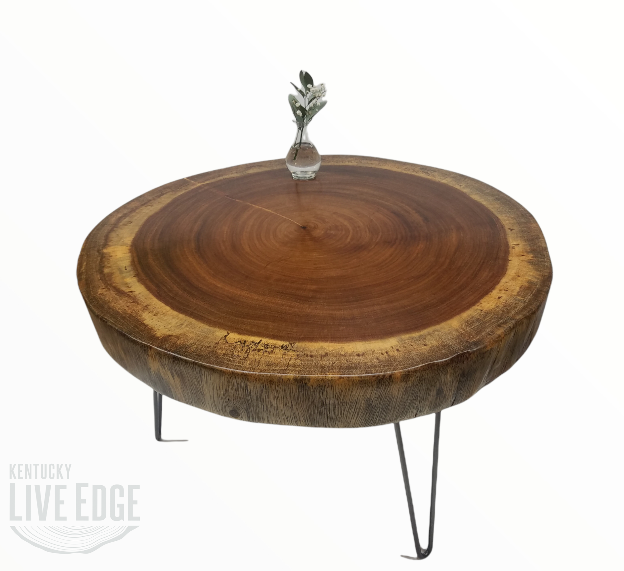 Round Coffee Table- Live Edge Table- Circular- Dark Wood- Large Coffee Table- Monkeypod Slab- Tree Slice- Modern- Thick Wood- Nature- Unique