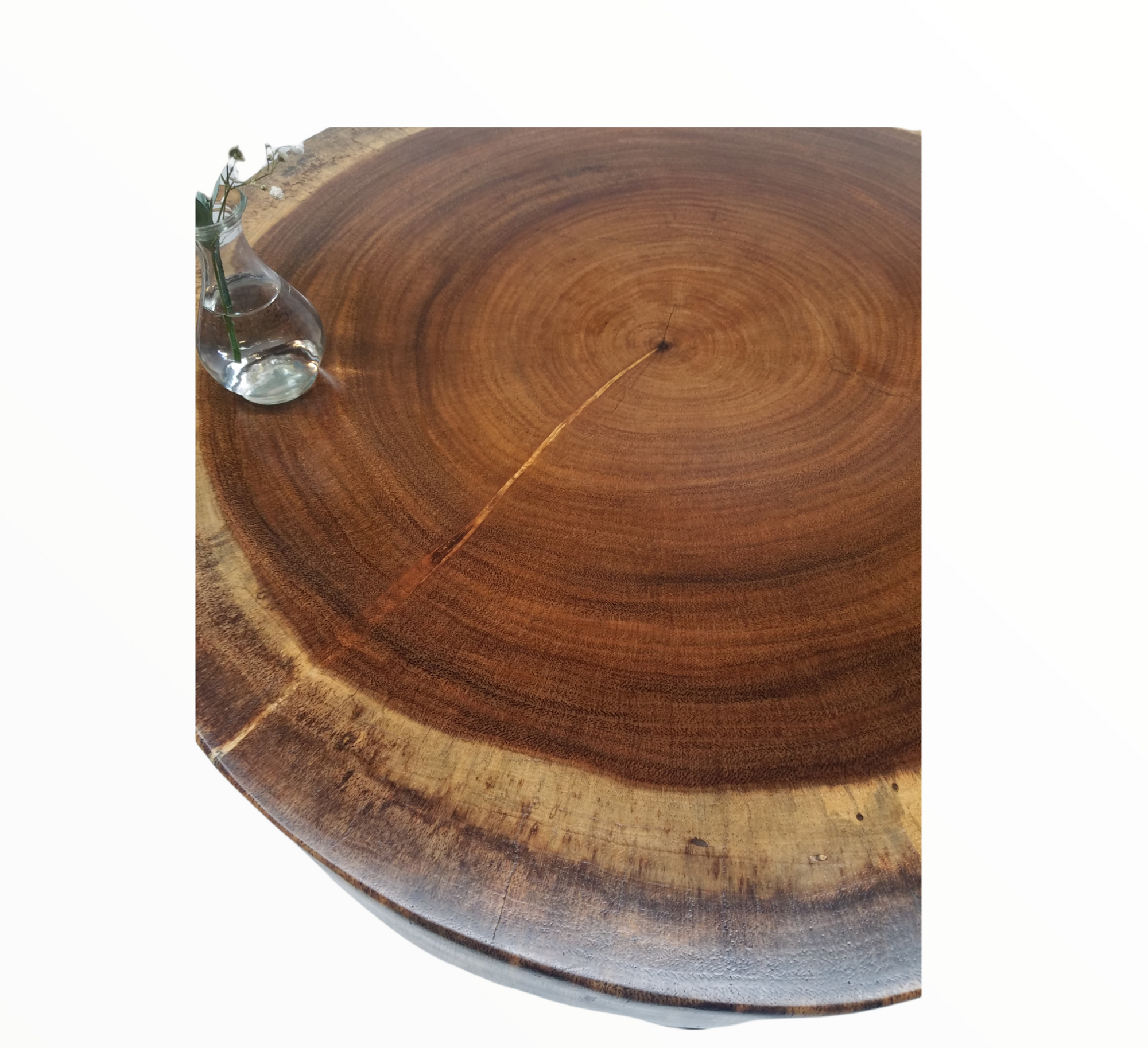 Round Coffee Table- Live Edge Table- Circular- Dark Wood- Large Coffee Table- Monkeypod Slab- Tree Slice- Modern- Thick Wood- Nature- Unique