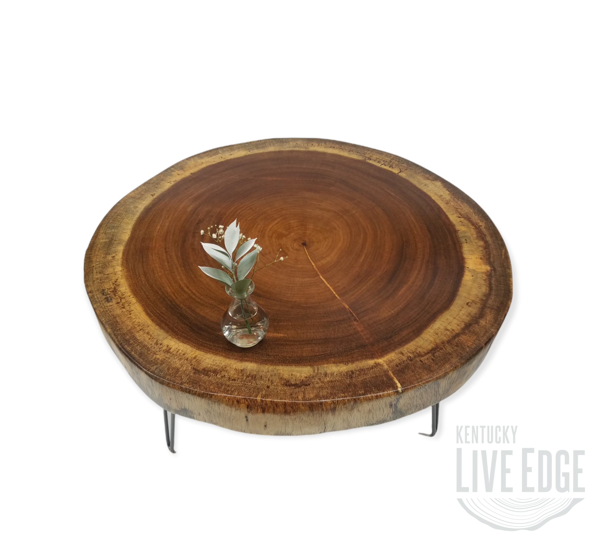 Round Coffee Table- Live Edge Table- Circular- Dark Wood- Large Coffee Table- Monkeypod Slab- Tree Slice- Modern- Thick Wood- Nature- Unique