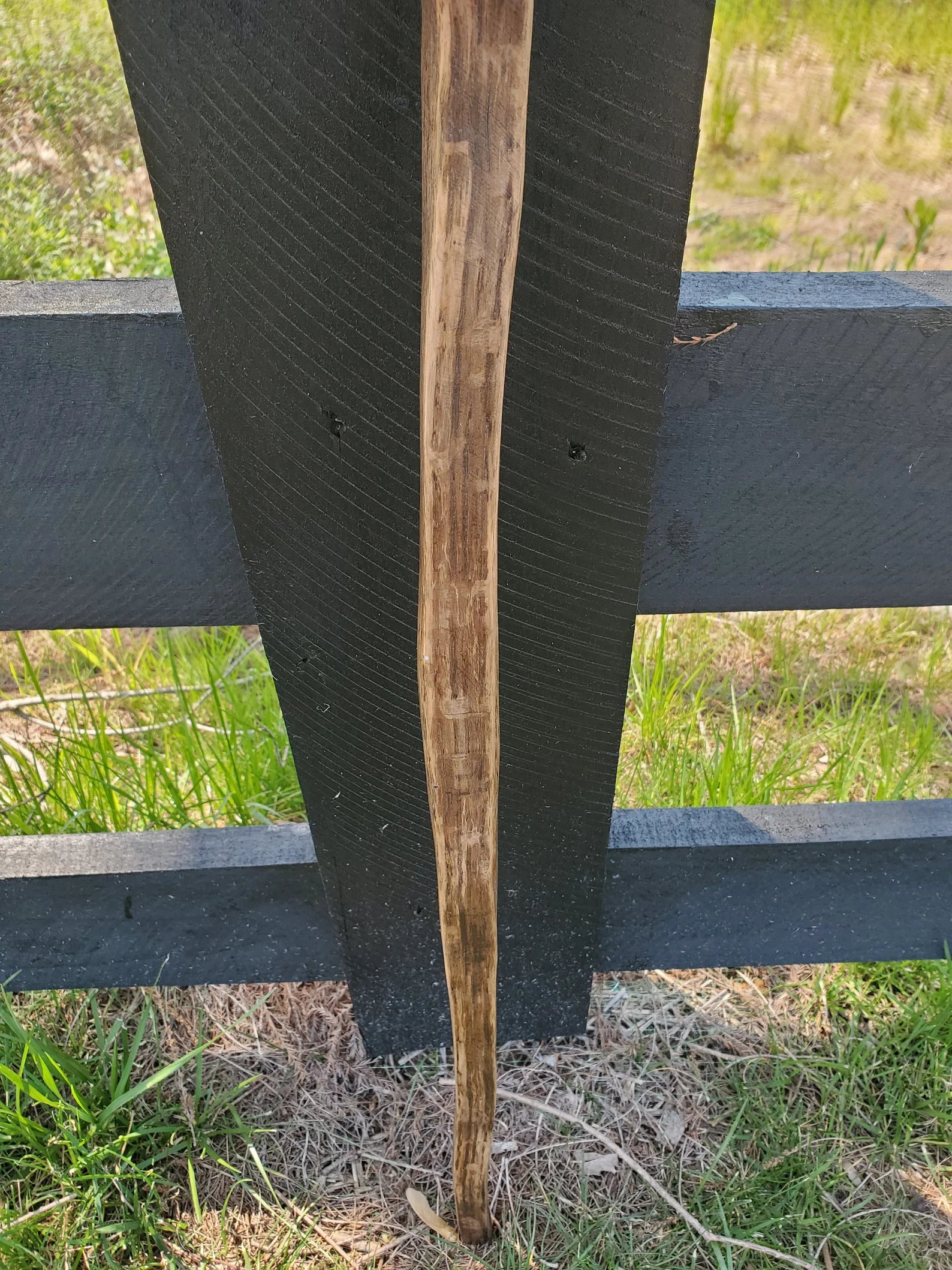 Walking Stick- Made from Reclaimed 100 Year Old Kentucky Tobacco Stick- Hiking Stick- Curvy- Twisted- Outdoors- White Oak- Shorter- Trekking