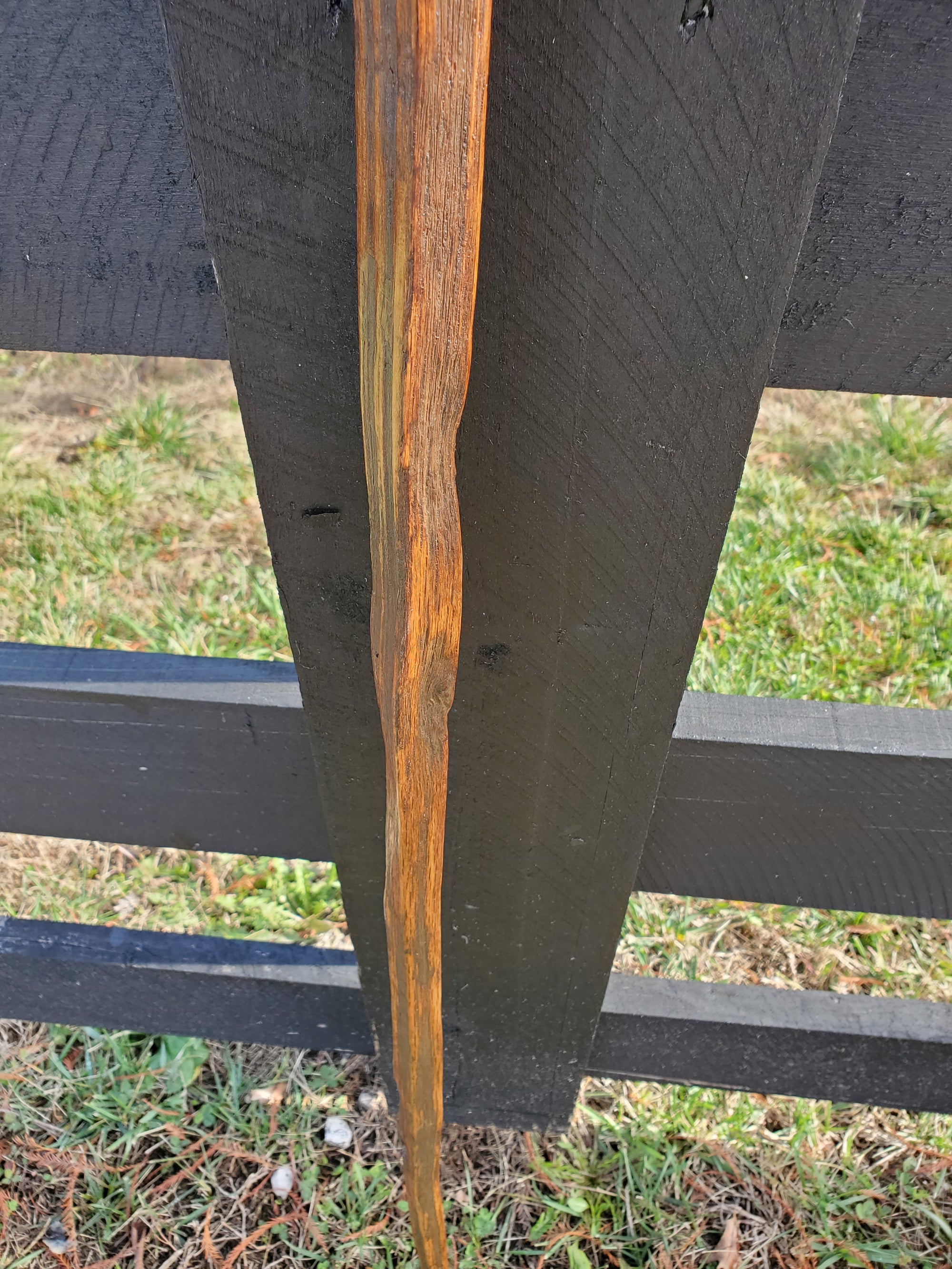 Walking Stick- Made from Reclaimed 100 Year Old Kentucky Tobacco Stick- Hiking Stick- Medium Brown- Outdoors- Hiking Gift- White Oak- Hike
