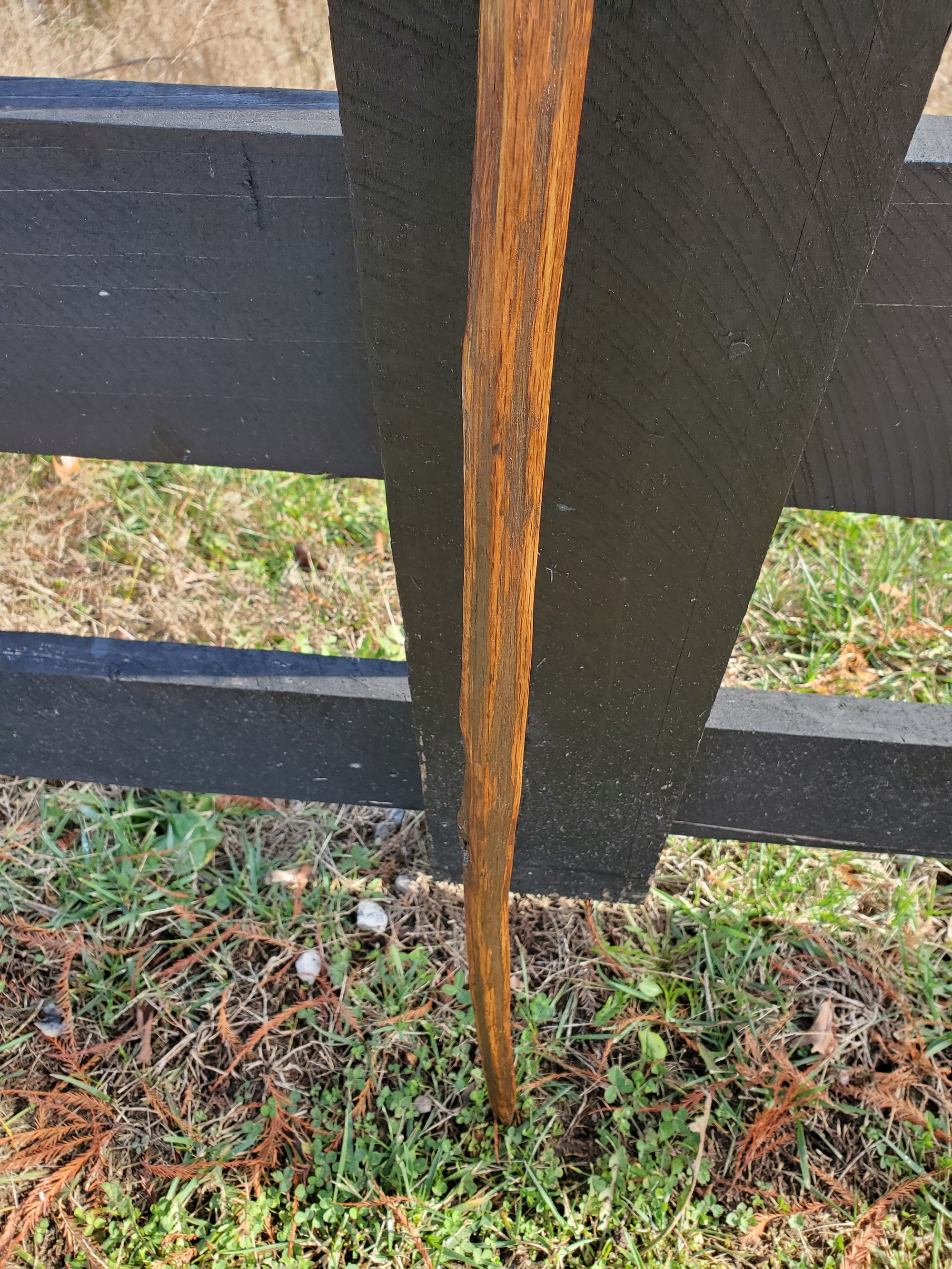 Walking Stick- Made from Reclaimed 100 Year Old Kentucky Tobacco Stick- Hiking Stick- Medium Brown- Outdoors- Hiking Gift- White Oak- Hike