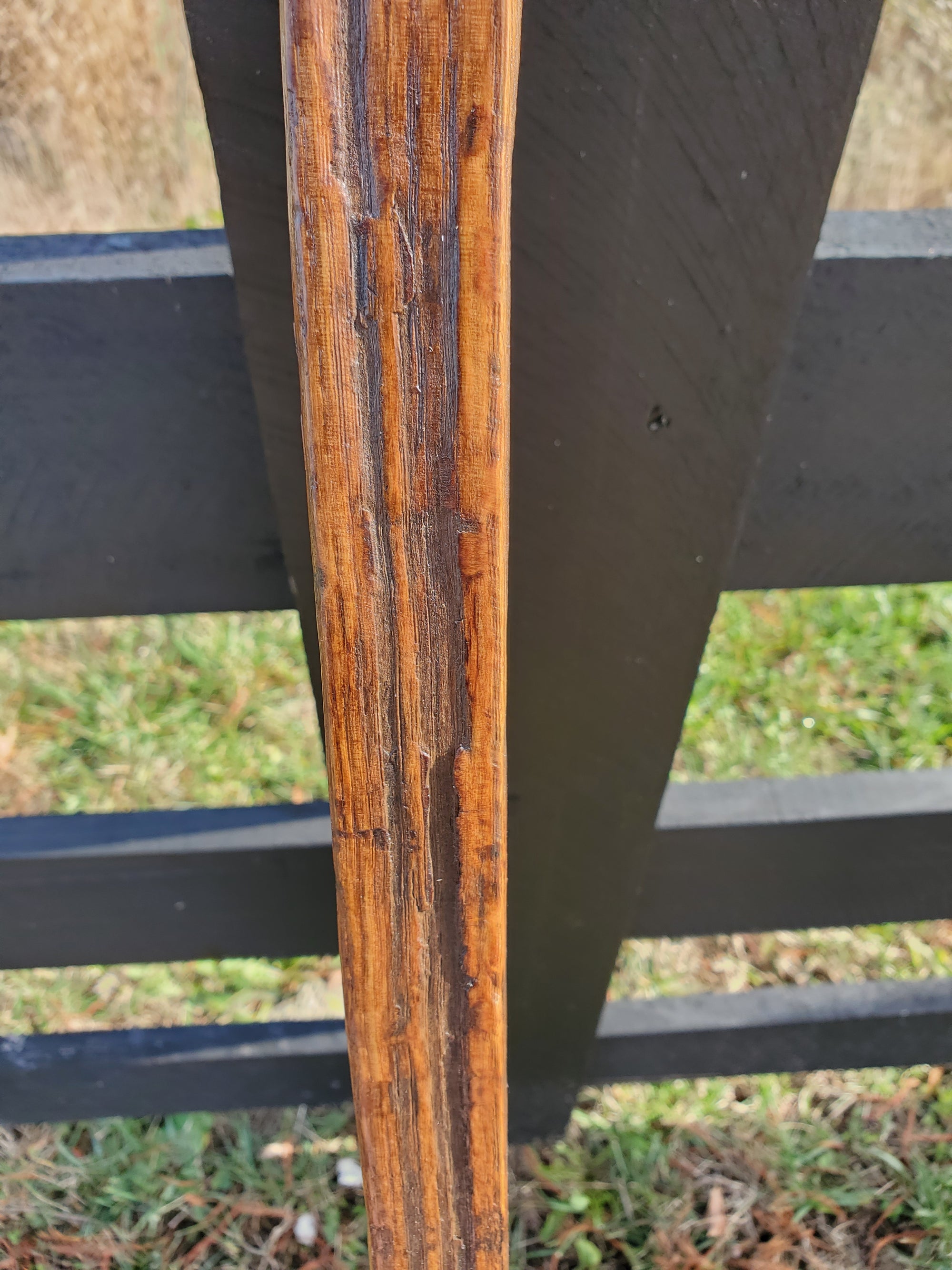 Walking Stick- Made from Reclaimed 100 Year Old Kentucky Tobacco Stick- Hiking Stick- Medium Brown- Outdoors- Hiking Gift- White Oak- Hike