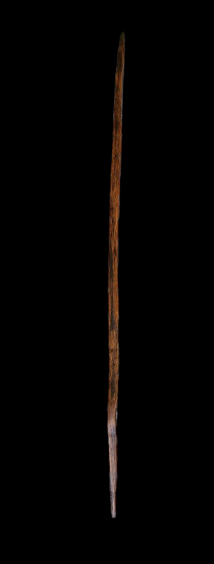 Kentucky Walking Stick Made from Reclaimed 100 Year Old Kentucky Tobacco Stick- Hiking Stick- Outdoors- For Tall People- 'Goldie'- Trails