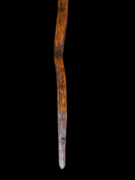 Kentucky Walking Stick Made from Reclaimed 100 Year Old Kentucky Tobacco Stick- Hiking Stick- Outdoors- For Tall People- 'Goldie'- Trails