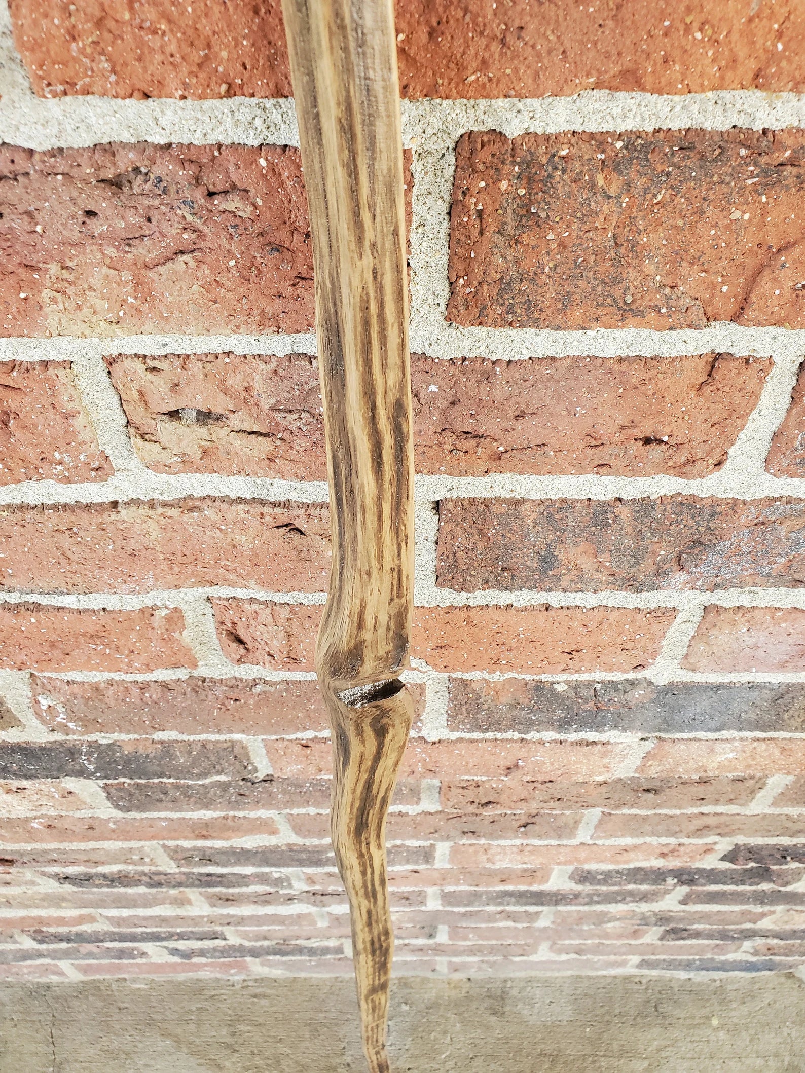 Walking Stick- Made from Reclaimed 100 Year Old Kentucky Tobacco Stick- Hiking Stick- Curvy- Twisted- Outdoors- White Oak- Shorter- Trekking