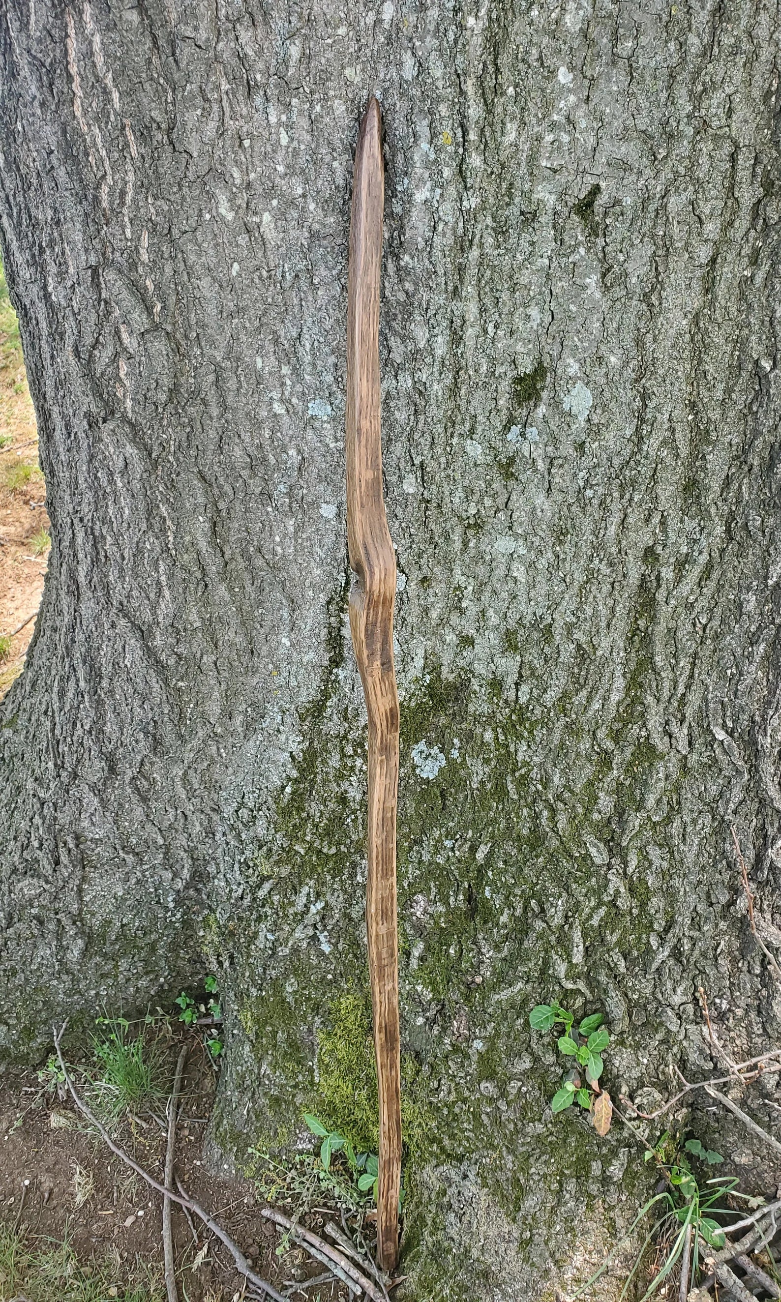 Walking Stick- Made from Reclaimed 100 Year Old Kentucky Tobacco Stick- Hiking Stick- Curvy- Twisted- Outdoors- White Oak- Shorter- Trekking