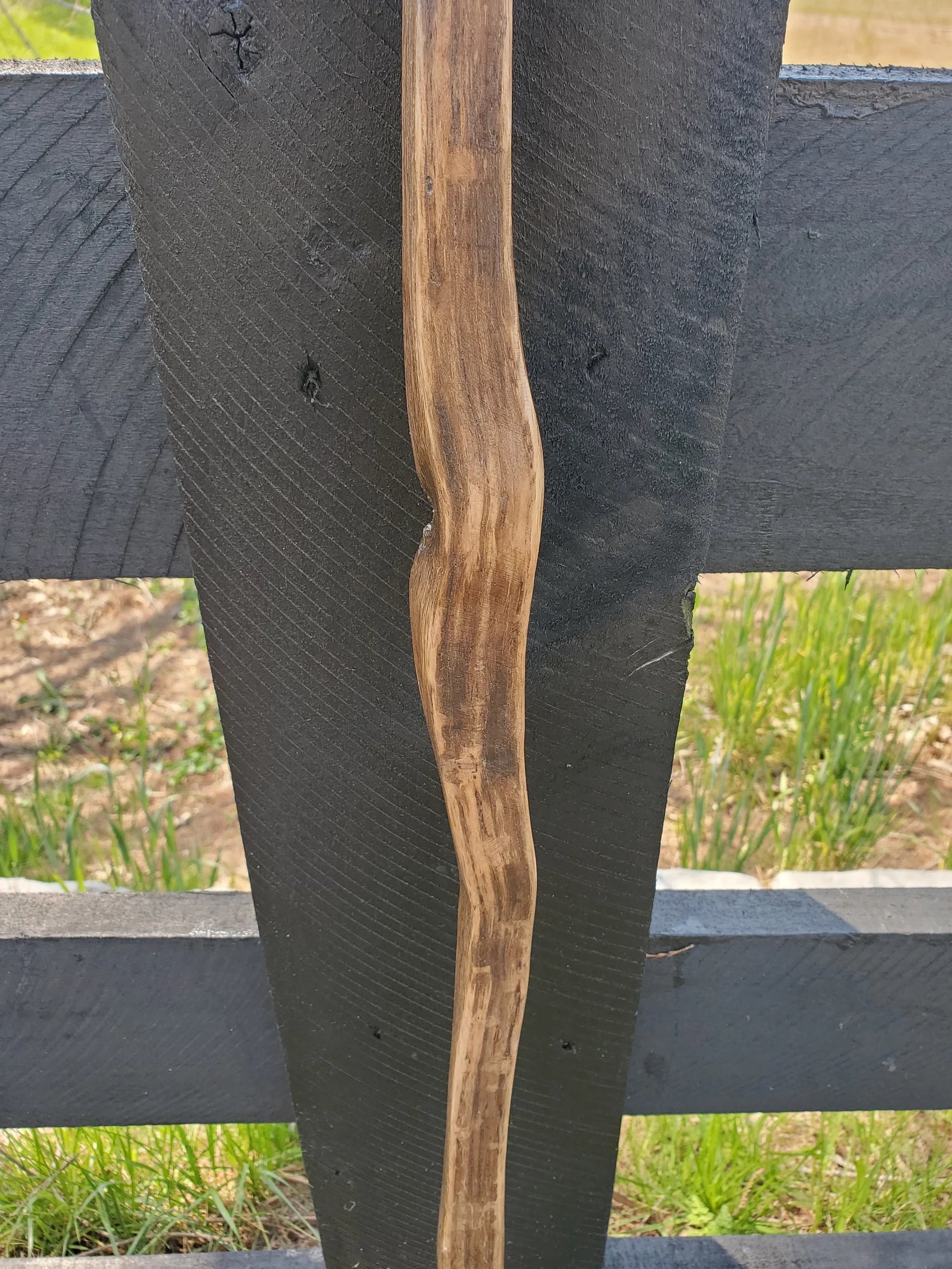 Walking Stick- Made from Reclaimed 100 Year Old Kentucky Tobacco Stick- Hiking Stick- Curvy- Twisted- Outdoors- White Oak- Shorter- Trekking