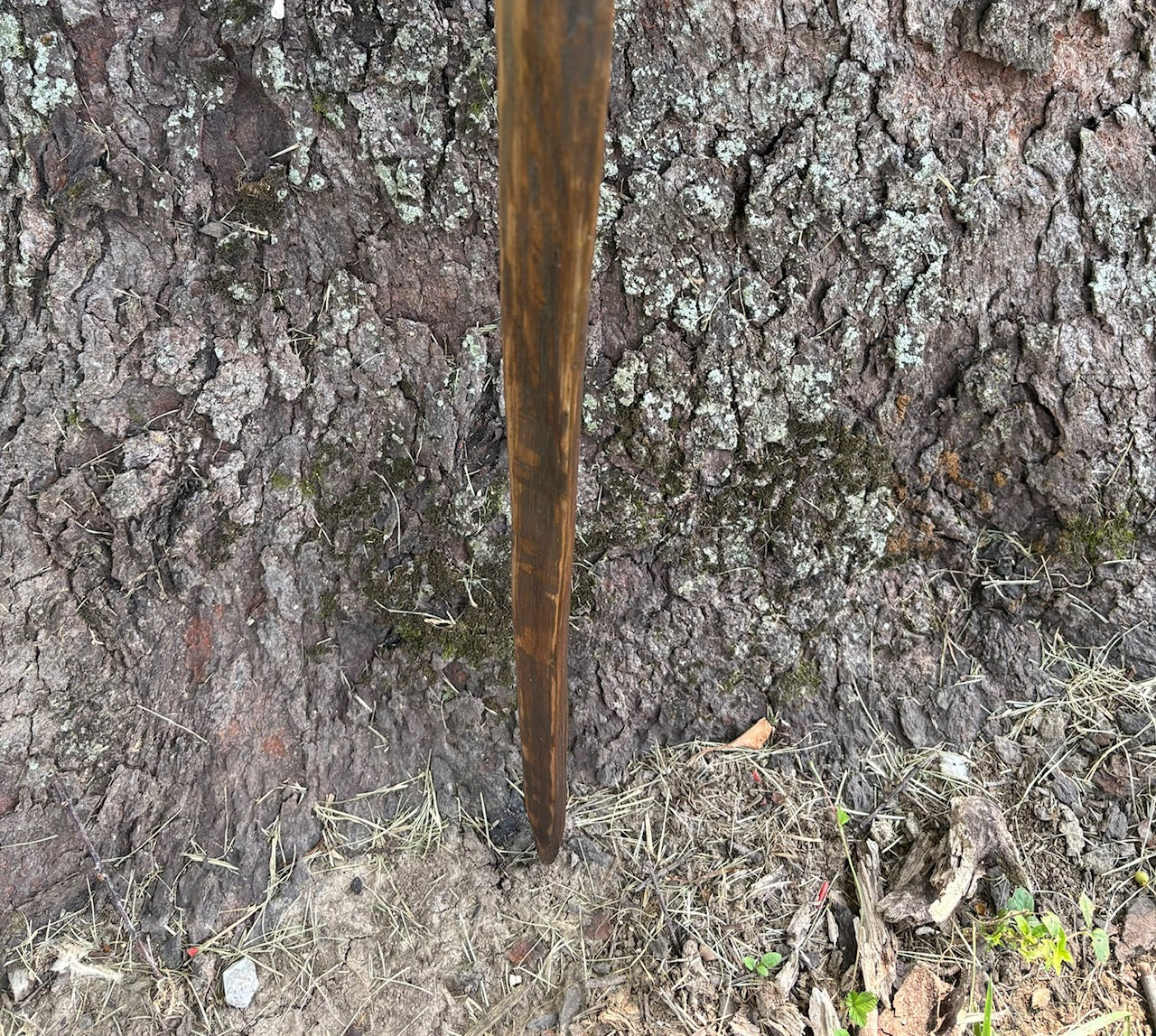 Walking Stick- Made from Reclaimed 100 Year Old Kentucky Tobacco Stick- Hiking Stick- Dark Brown- Outdoors- Unusual Shape- Oak- 'Flathead'