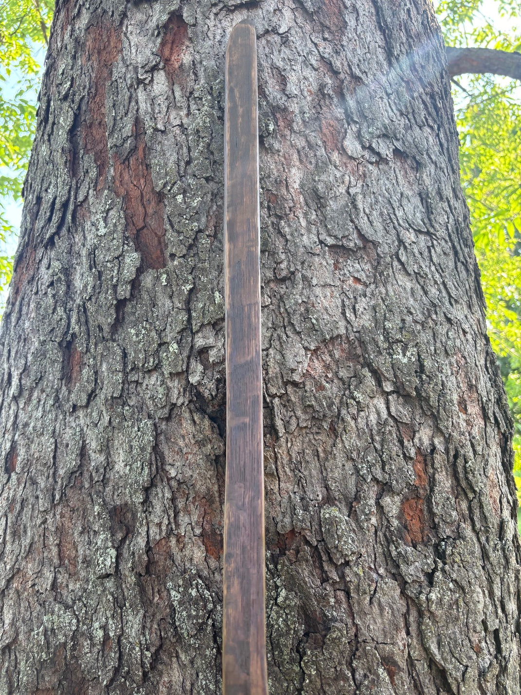 Walking Stick- Made from Reclaimed 100 Year Old Kentucky Tobacco Stick- Hiking Stick- Dark Brown- Outdoors- Unusual Shape- Oak- 'Flathead'