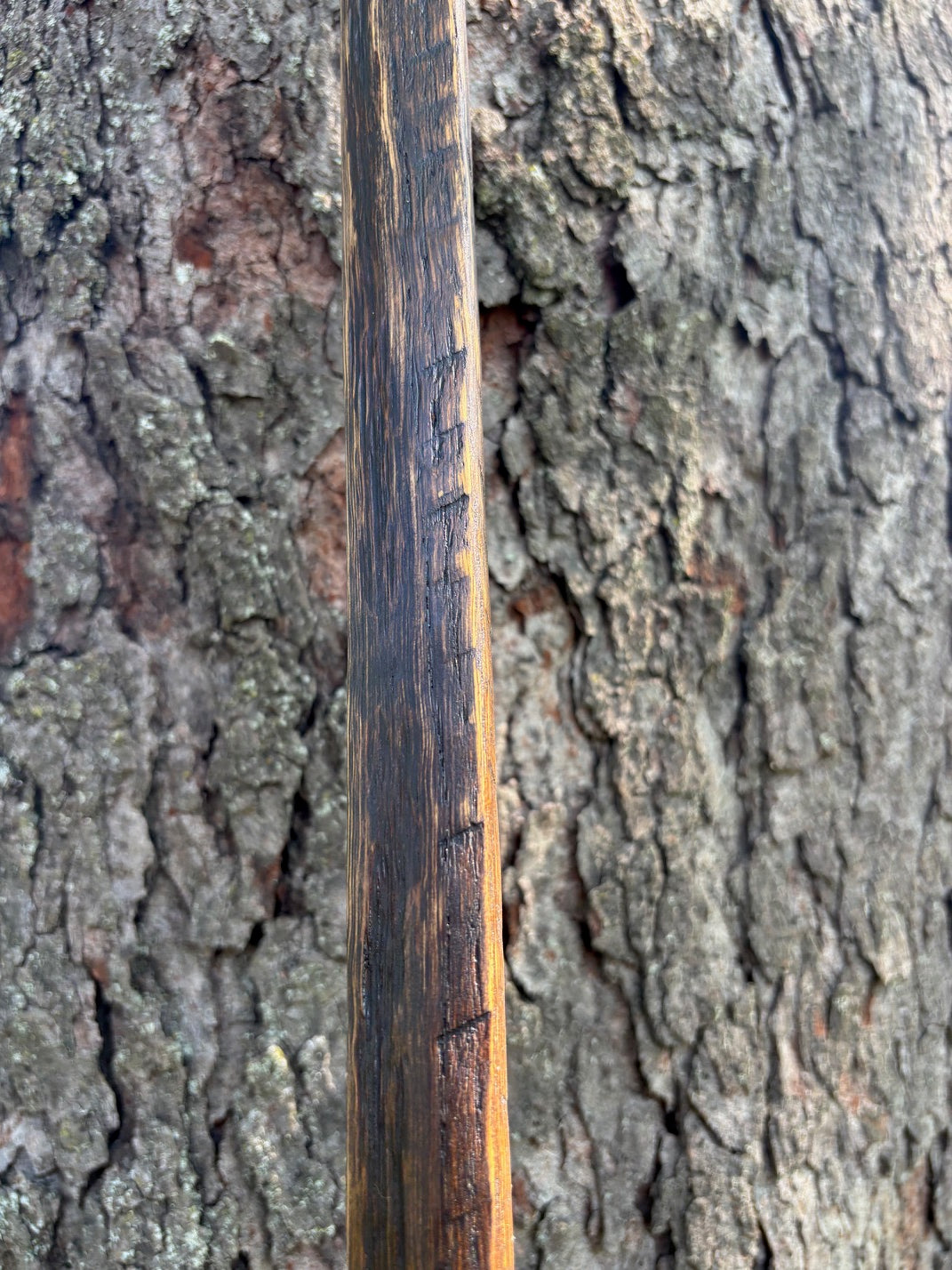 Sturdy & Stylish Handmade Reclaimed Oak Walking Stick- Brown and Black Hiking Stick- Made from 100 Year Old Reclaimed Kentucky Tobacco Stick