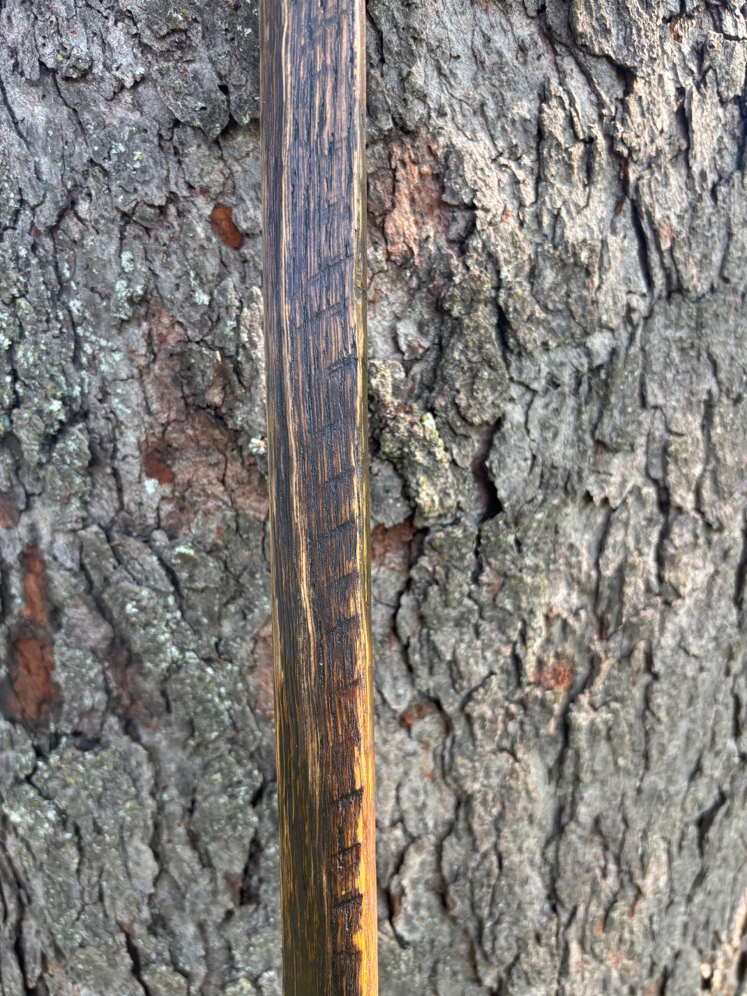 Sturdy & Stylish Handmade Reclaimed Oak Walking Stick- Brown and Black Hiking Stick- Made from 100 Year Old Reclaimed Kentucky Tobacco Stick