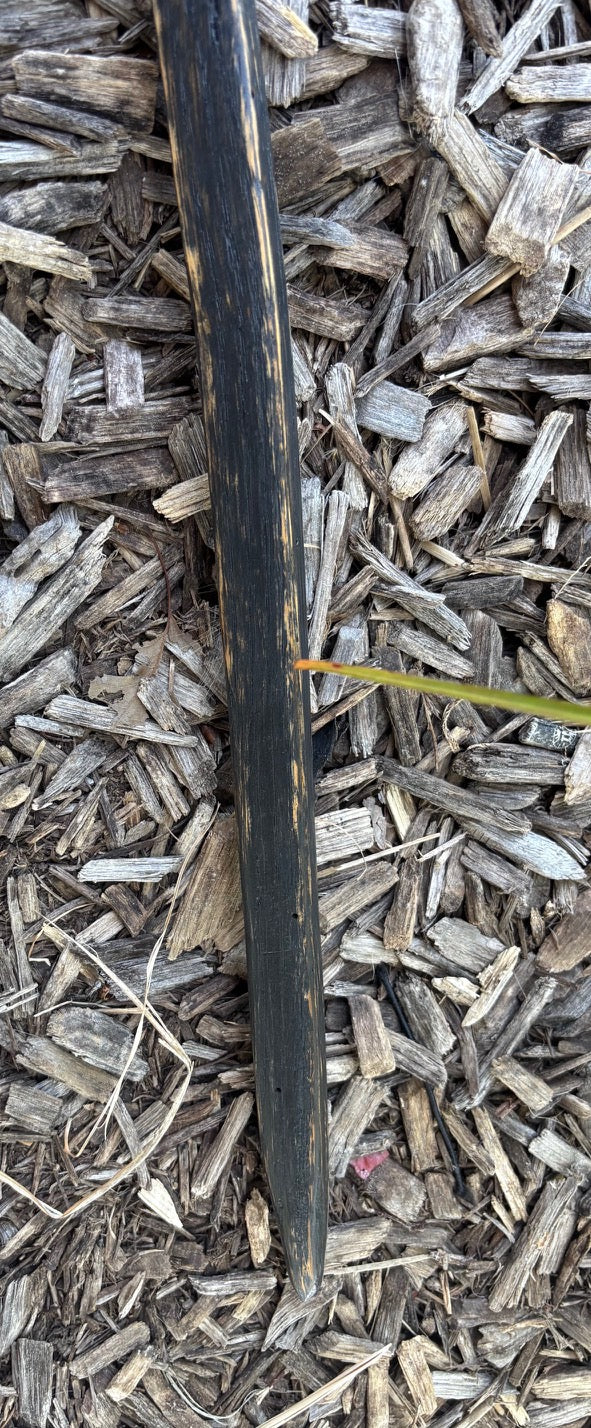 Hiking Stick Made from Reclaimed 100 Year Old Kentucky Tobacco Stick- Walking Stick- Hiking Accessory- Walking Accessory- Oak- 'Charred'