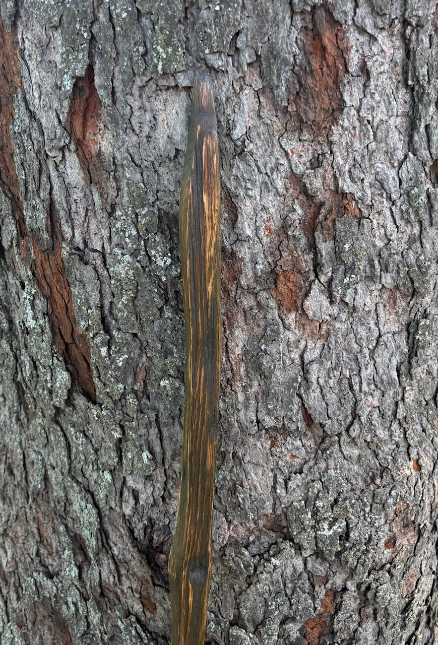 Hiking Stick Made from Reclaimed 100 Year Old Kentucky Tobacco Stick- Walking Stick- Handcrafted- Hiking Accessory- Outdoors- 'Crows Beak'