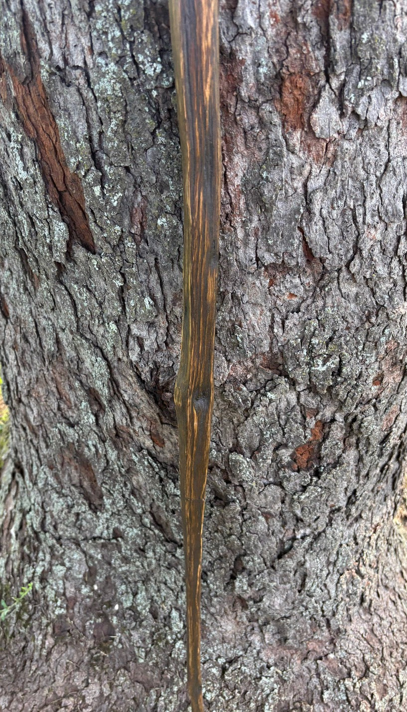 Hiking Stick Made from Reclaimed 100 Year Old Kentucky Tobacco Stick- Walking Stick- Handcrafted- Hiking Accessory- Outdoors- 'Crows Beak'