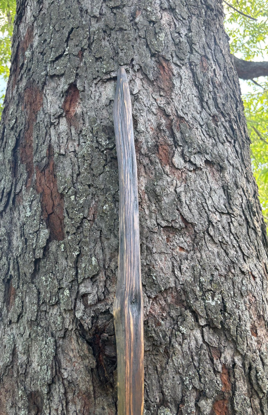 Hiking Stick Made from Reclaimed 100 Year Old Kentucky Tobacco Stick- Walking Stick- Handcrafted- Hiking Accessory- Outdoors- 'Crows Beak'