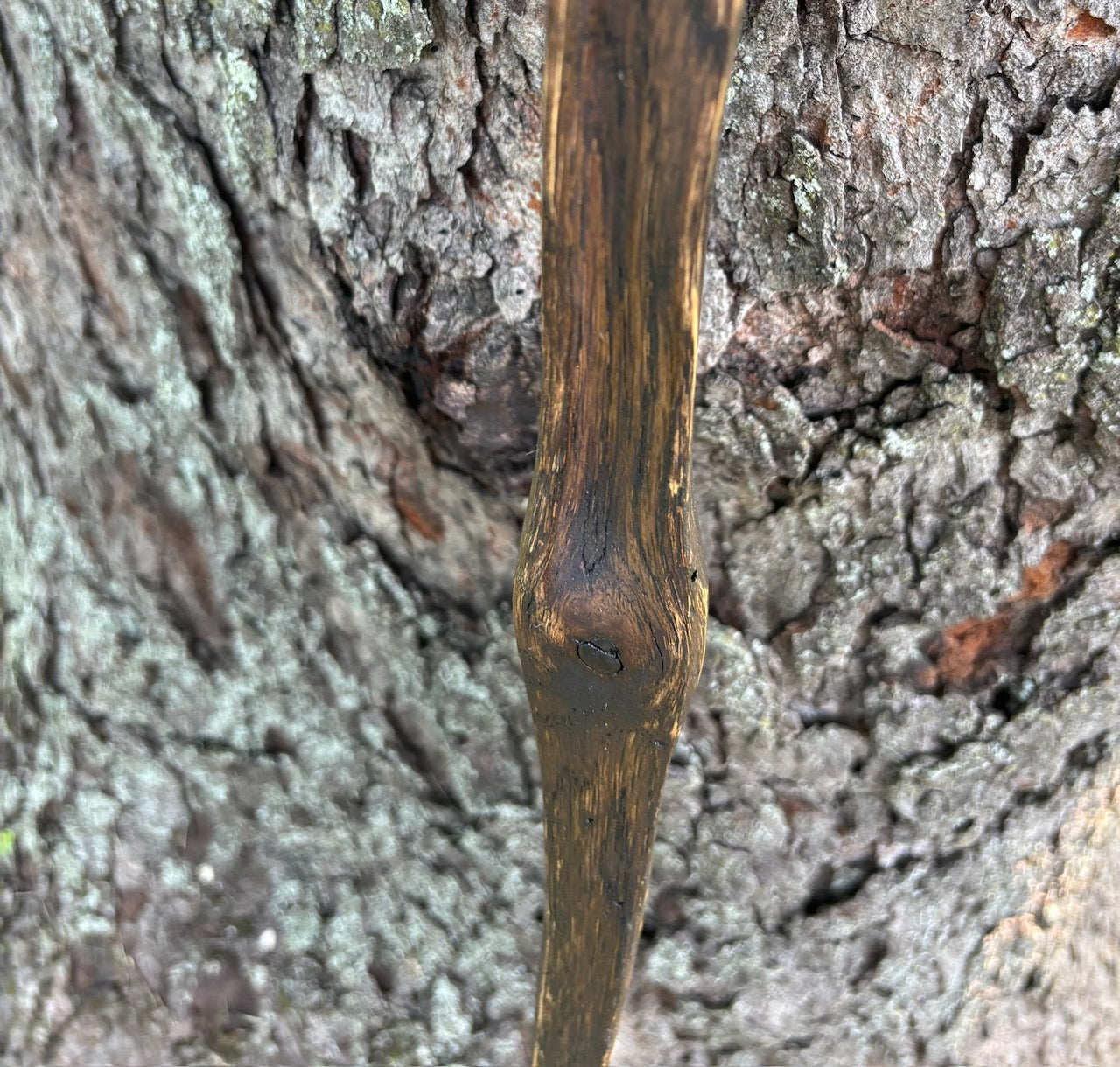 Hiking Stick Made from Reclaimed 100 Year Old Kentucky Tobacco Stick- Walking Stick- Handcrafted- Hiking Accessory- Outdoors- 'Crows Beak'