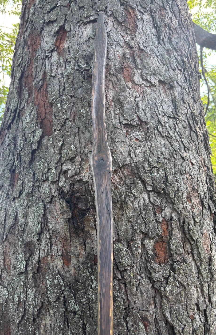 Hiking Stick Made from Reclaimed 100 Year Old Kentucky Tobacco Stick- Walking Stick- Handcrafted- Hiking Accessory- Outdoors- 'Crows Beak'