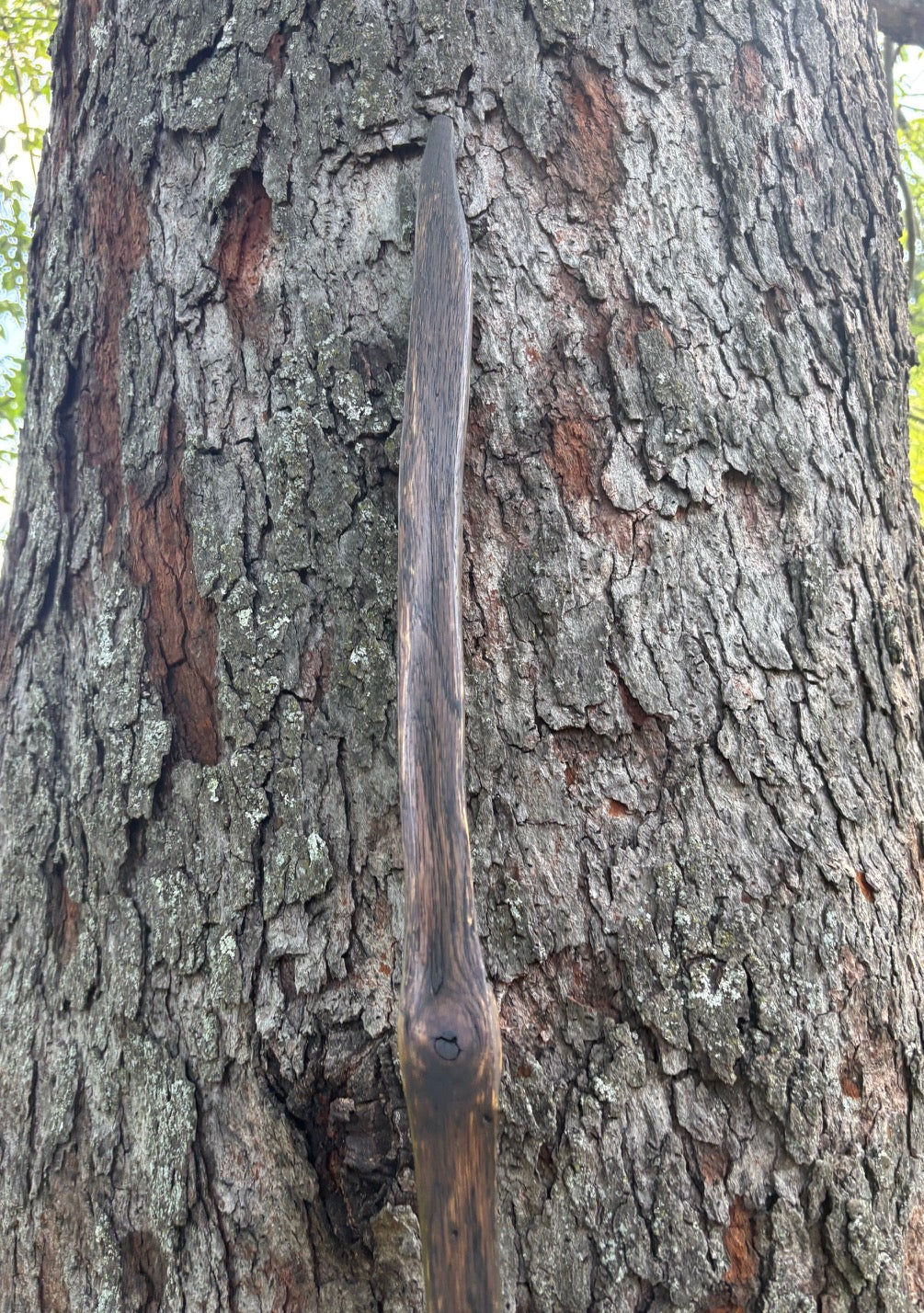 Hiking Stick Made from Reclaimed 100 Year Old Kentucky Tobacco Stick- Walking Stick- Handcrafted- Hiking Accessory- Outdoors- 'Crows Beak'