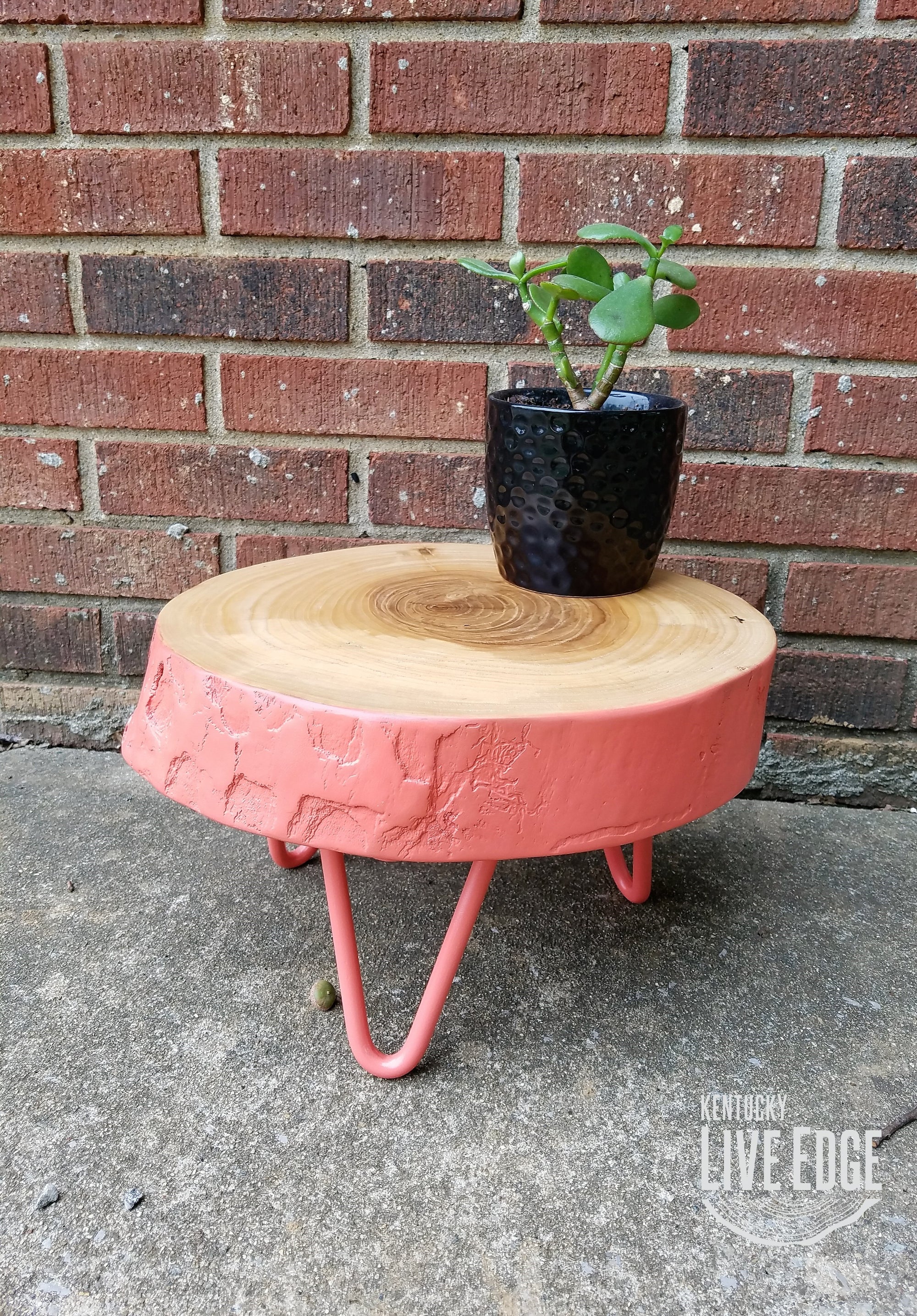 Plant Stand, Pink, Log, Side Table, Step Stool, Reclaimed Wood, Round, Organic, Natural Wood, Stool, Metal Legs, Live Edge, Mid Century