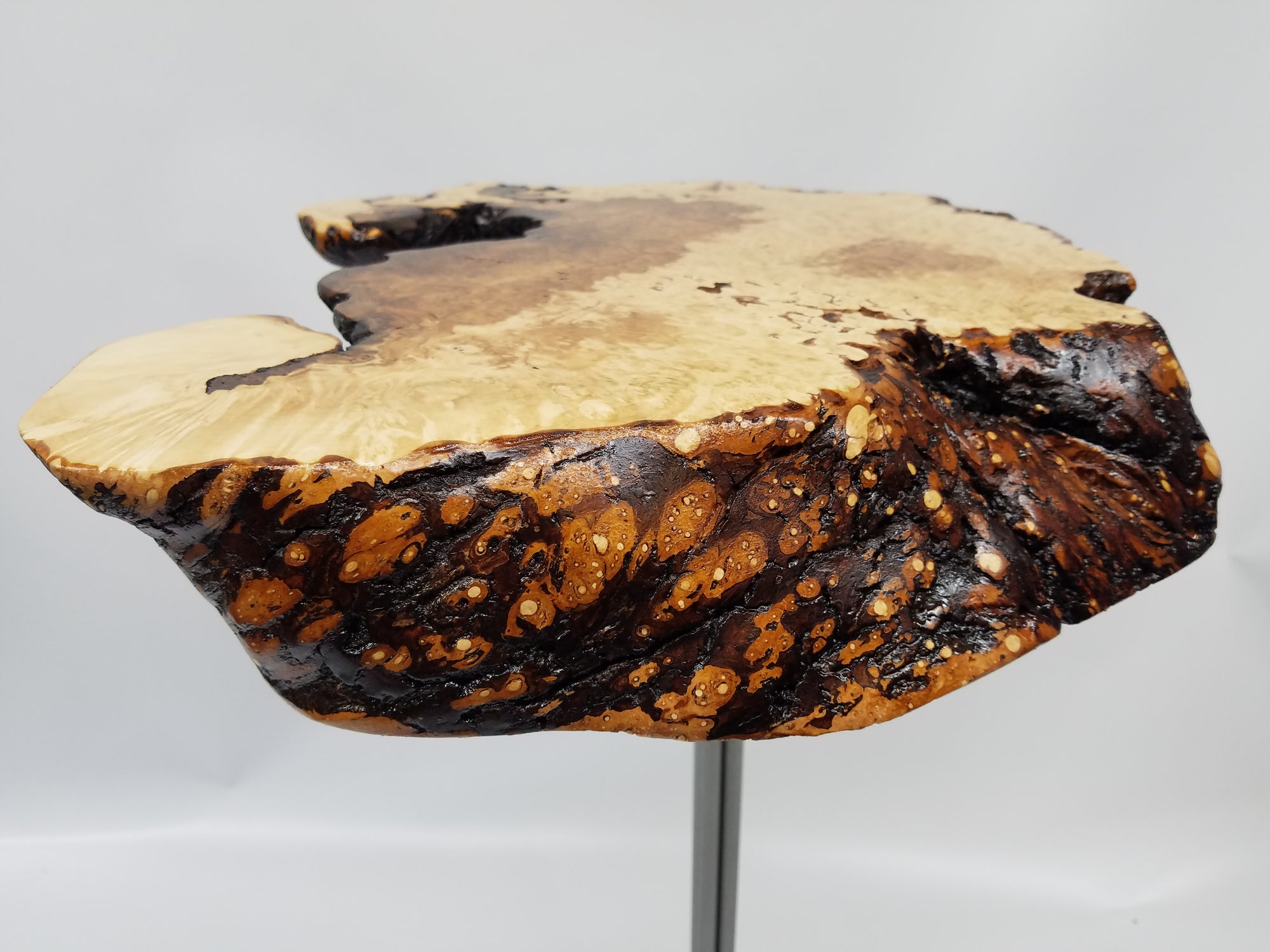 Live Edge Table- Side Table- Tree Slice- Maple Burl- Small Table- End Table- Round- Circular- Thick Wood- Natural Wood- Unique Table- Crab