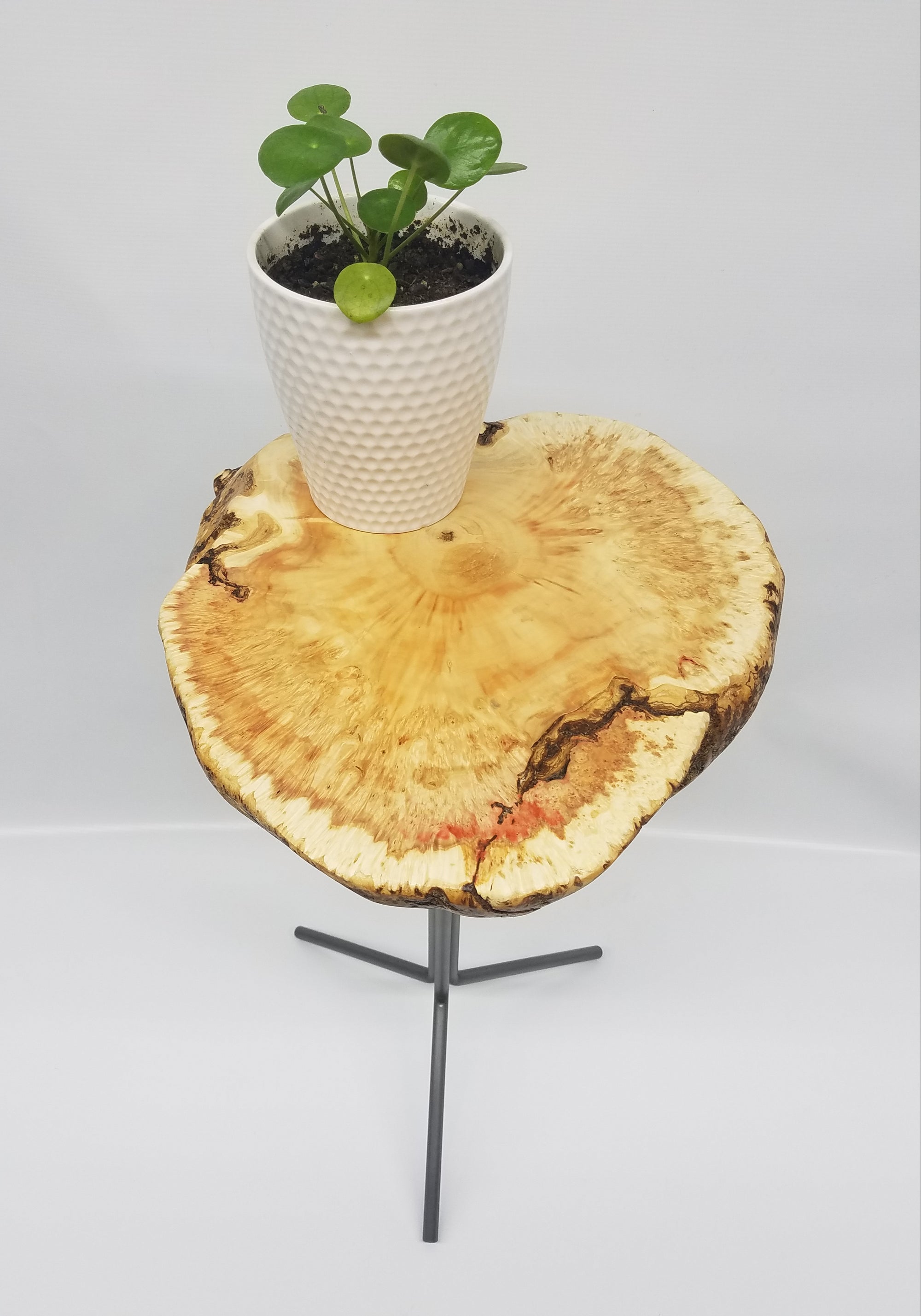 Maple Burl End Table- Drink Stand- Side Table- Plant Stand- Foyer Table- Statuary Stand- Live Edge Table- Handmade Table- Red- Gold- Brown