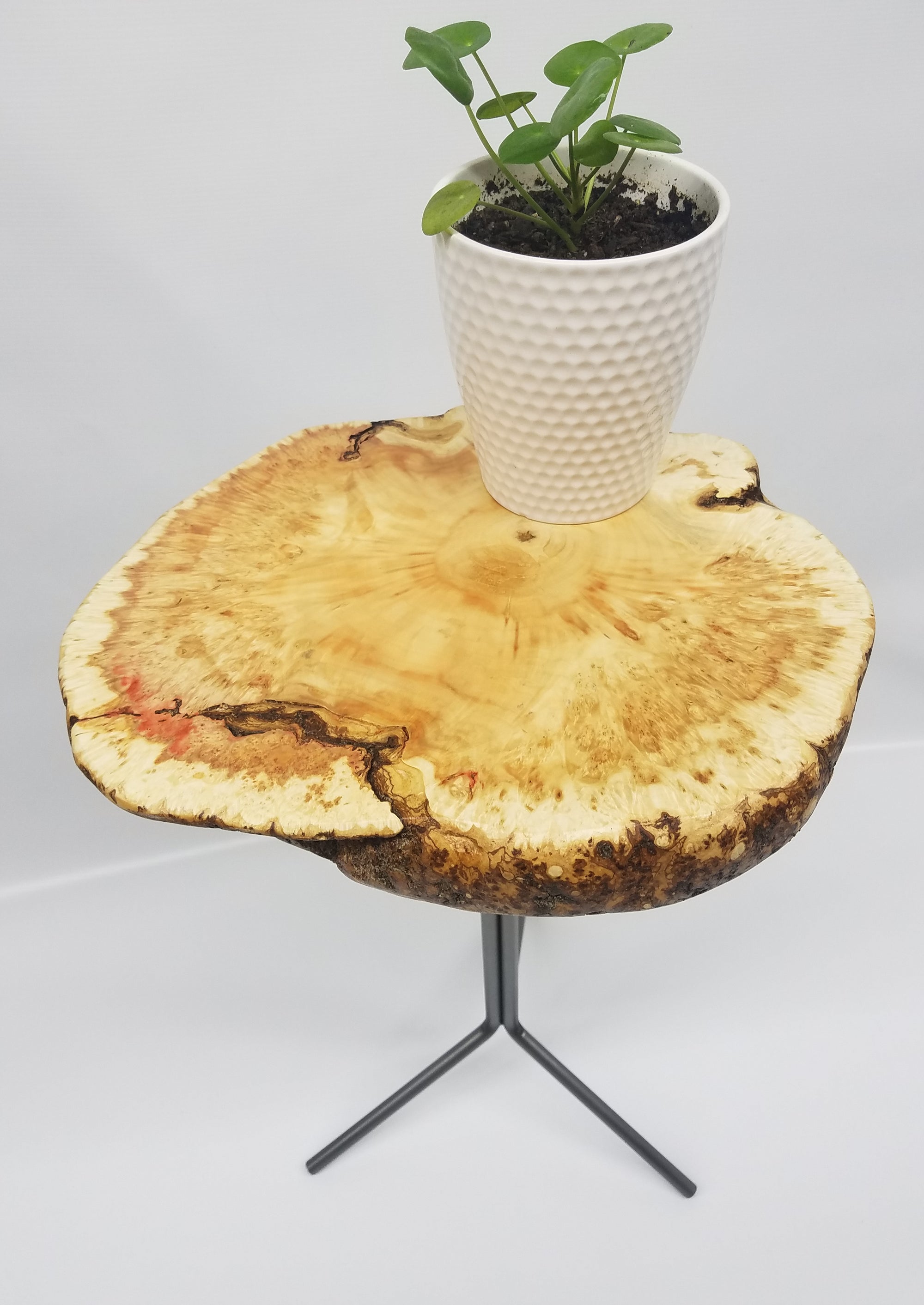 Unique Natural Organic Burl wood Flower and Display Table, Best in