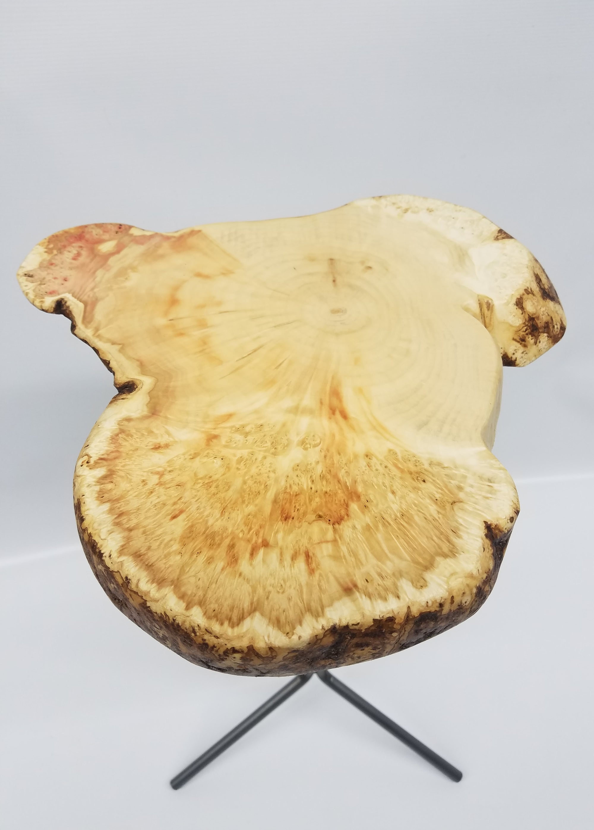End Table- Side Table- Plant Stand- Maple Burl- Tree Slice- Live Edge- Natural Wood- Industrial- Mid Century- Cool Table- Gold- Red- Unique