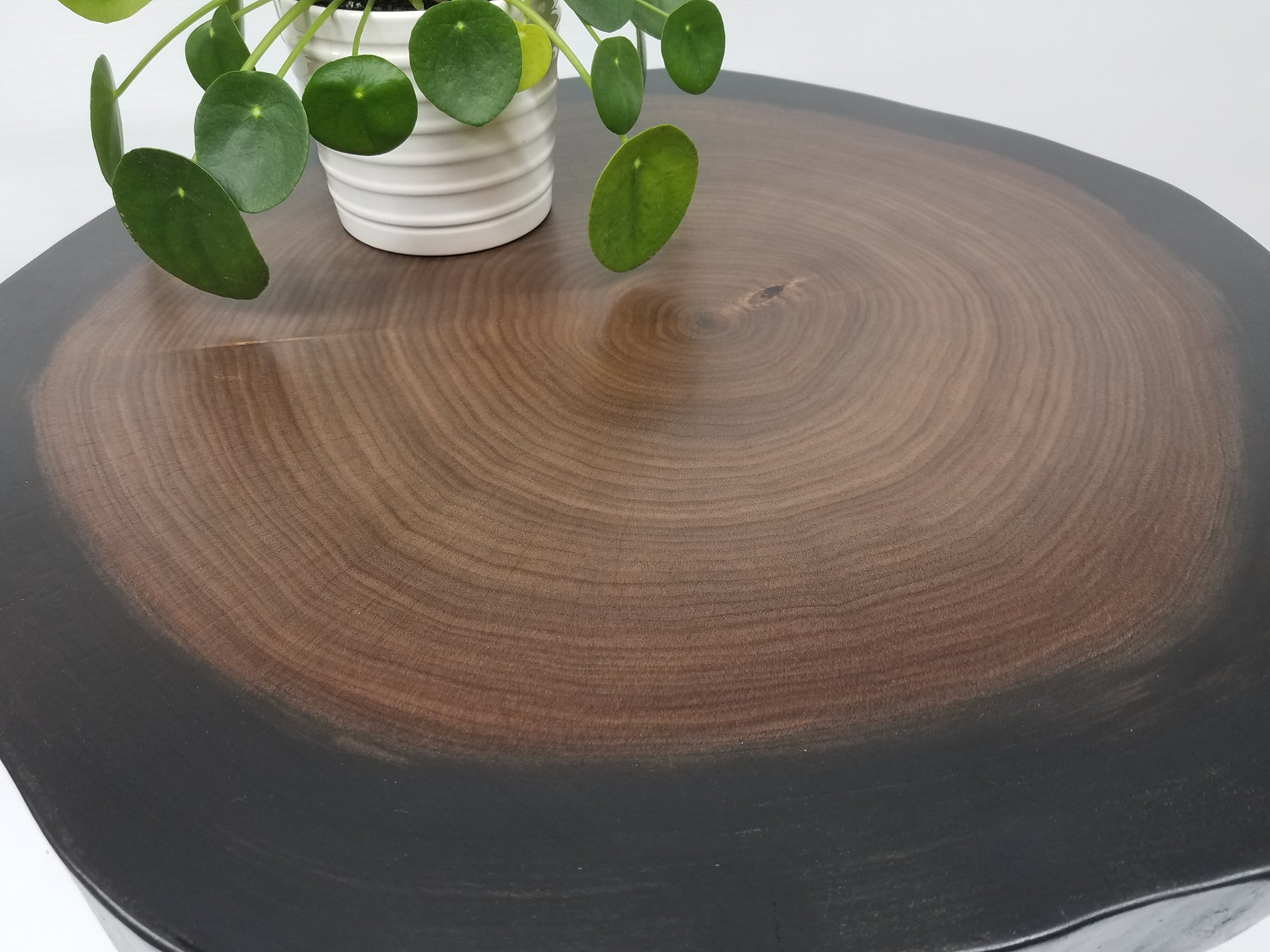 Round Coffee Table- Side Table- Live Edge- Cookie- Black and Brown- Solid Wood Table- Minimalist- Handmade- Wood and Steel- Modern Table