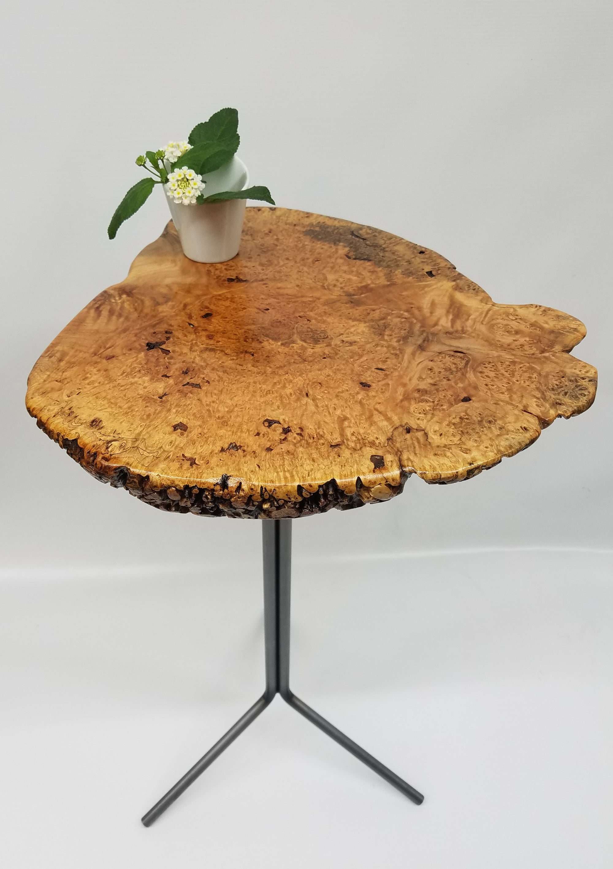 Spalted Maple Burl Side Table- End Table- Live Edge- Modern- Organic- Natural Wood- Light Wood- Figured Wood- Plant Stand- Unique Furniture