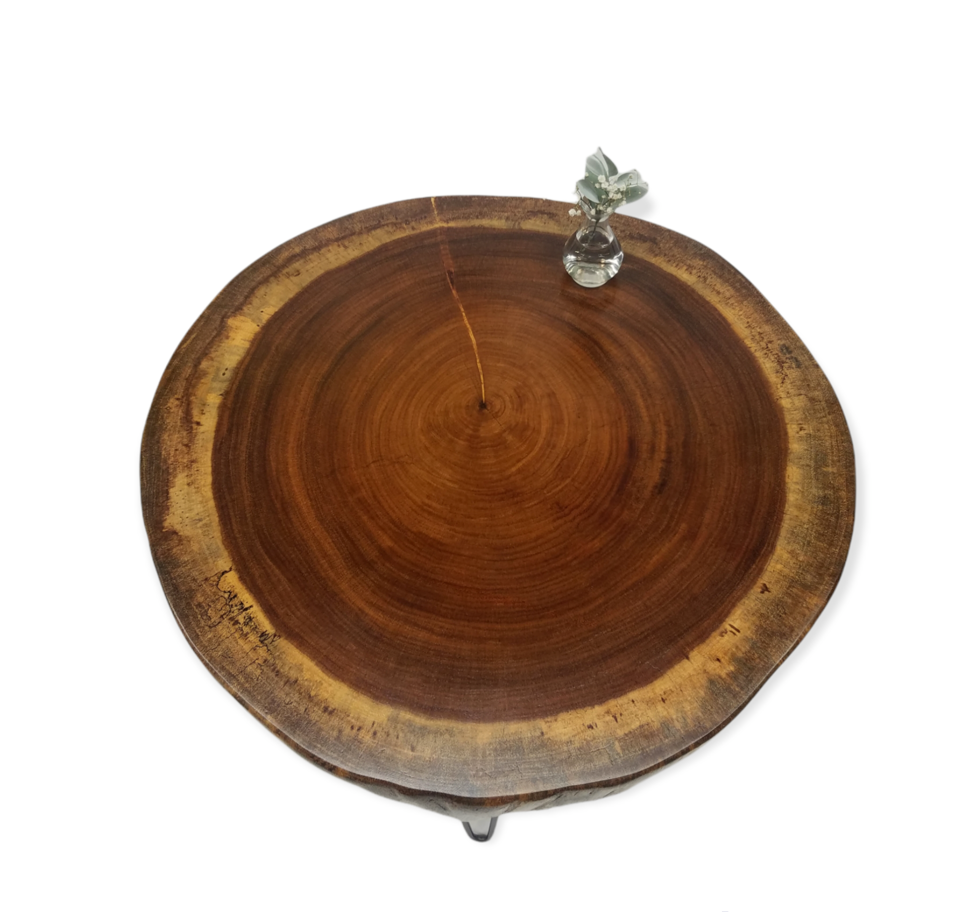 Round Coffee Table- Live Edge Table- Circular- Dark Wood- Large Coffee Table- Monkeypod Slab- Tree Slice- Modern- Thick Wood- Nature- Unique